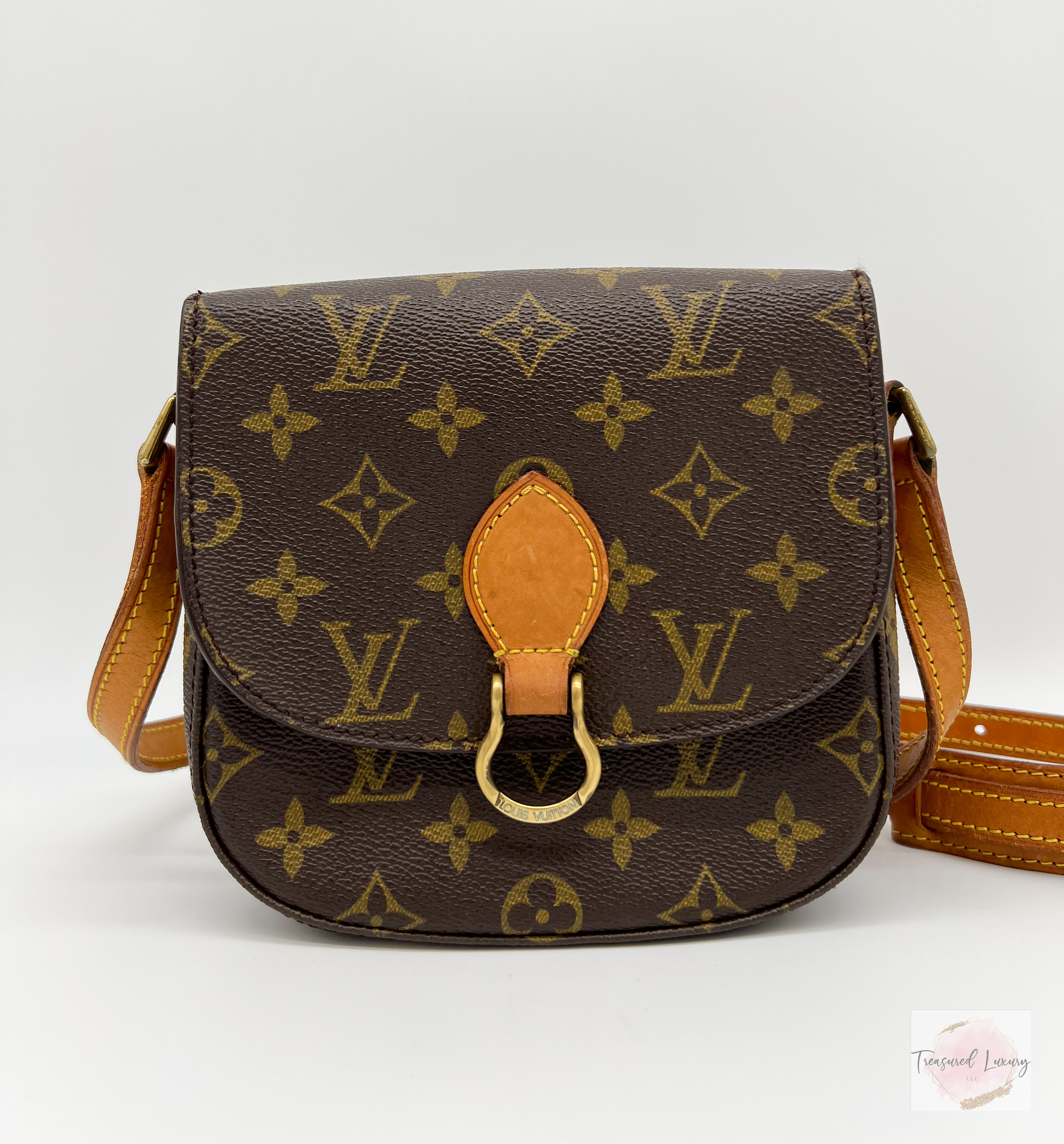 LOUIS VUITTON SAINT CLOUD PM