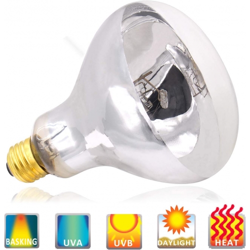 Lampada vapor mercurio