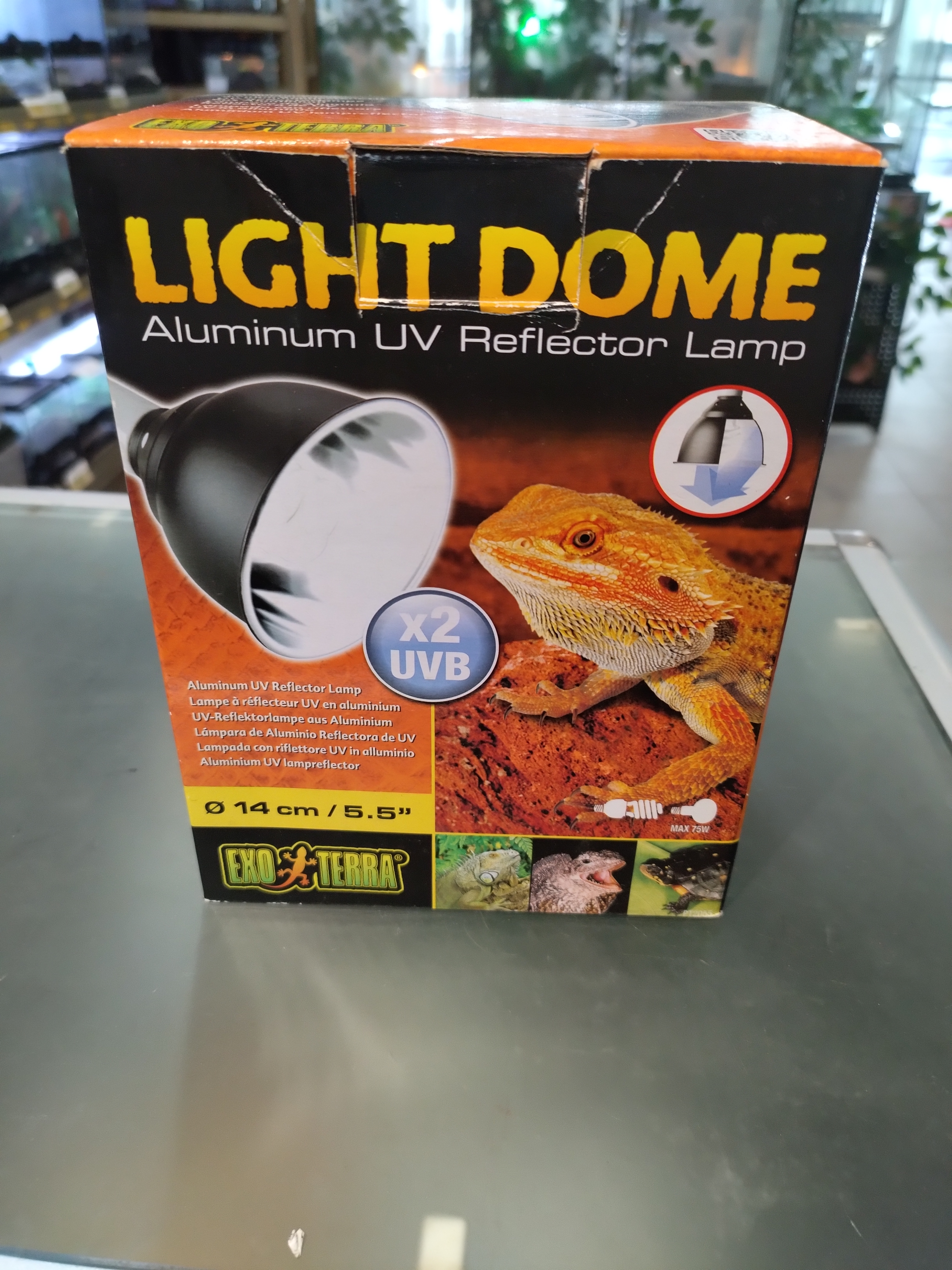 Suporte Light domme