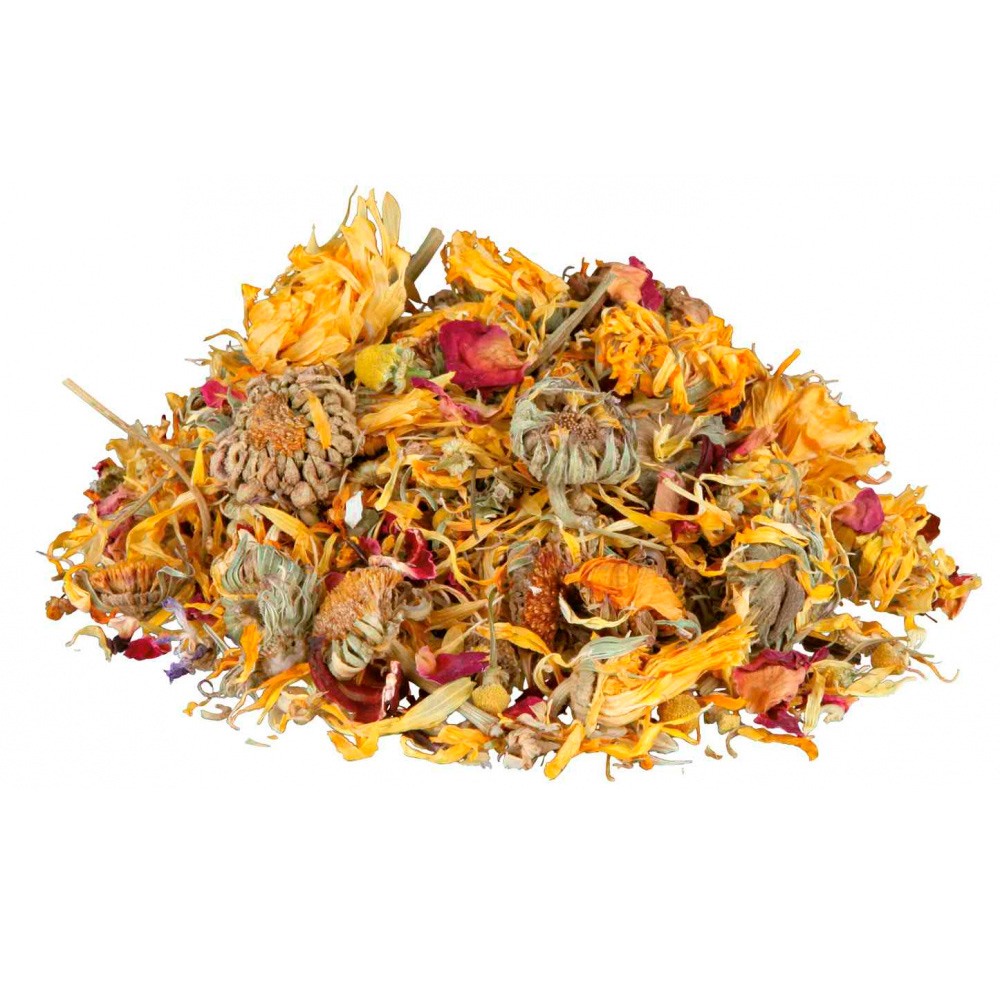 Alimento Desidratado Dragões Barbudos 100 gr