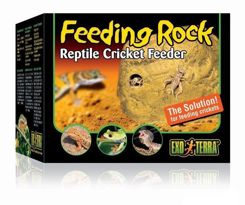 Reptile feeder cricket comedor de grilos 