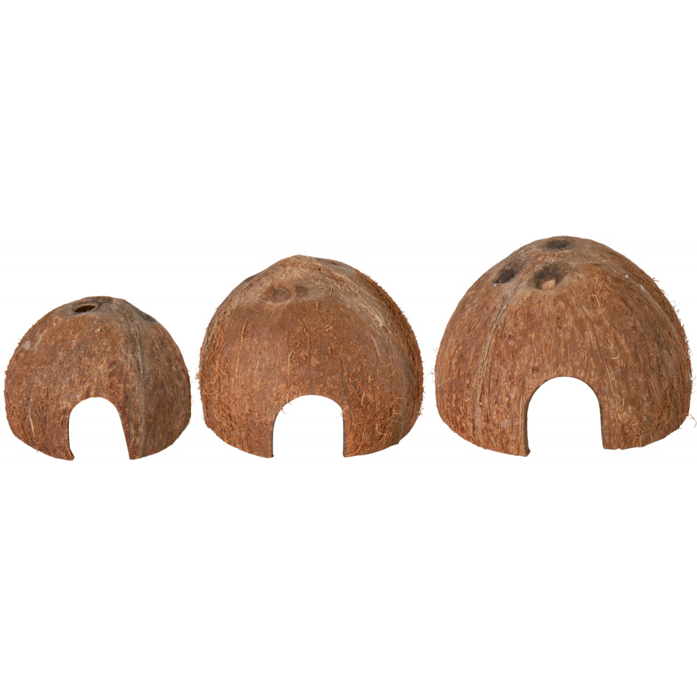Gruta de coco