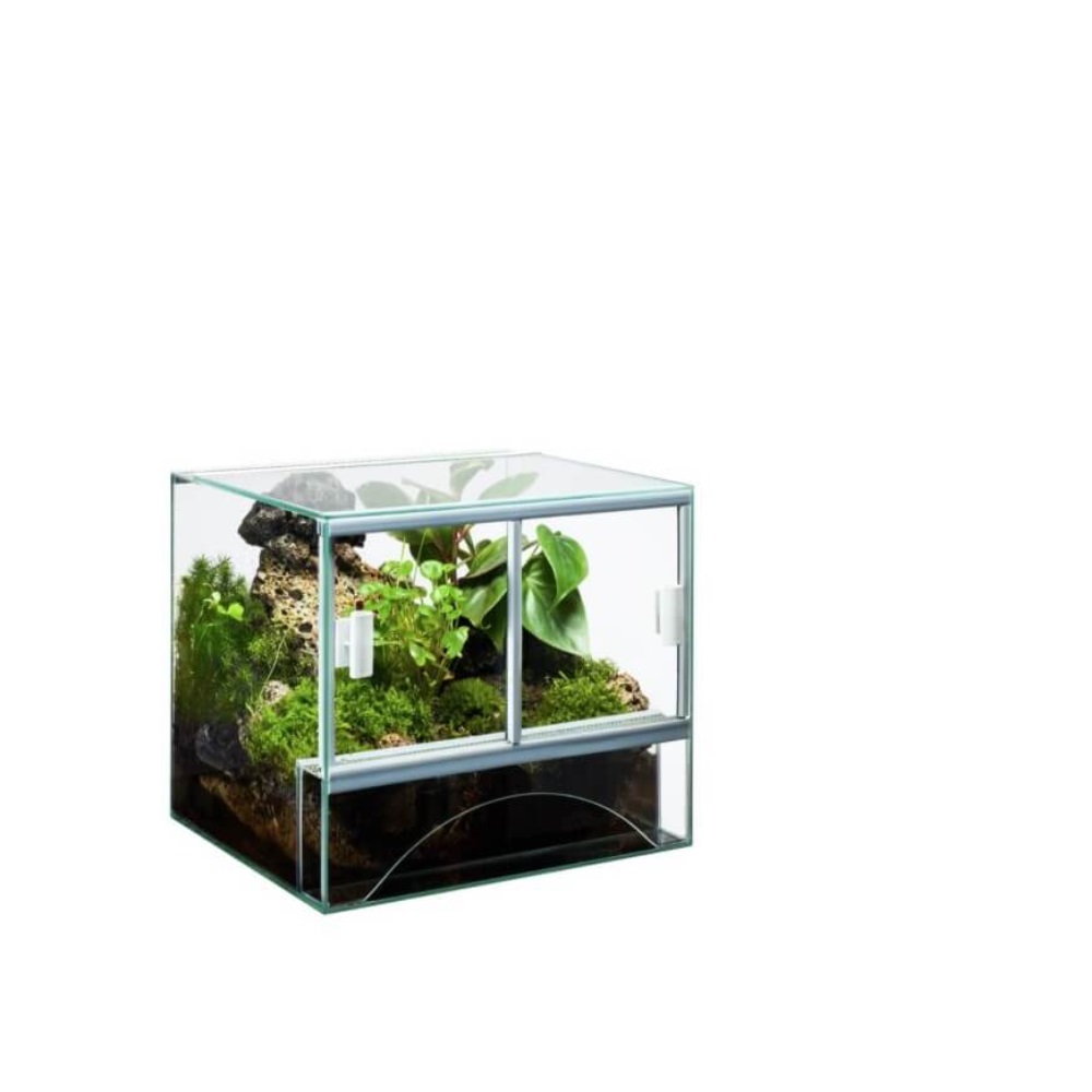 Terrário para repteis promoção(diversos tamanhos)