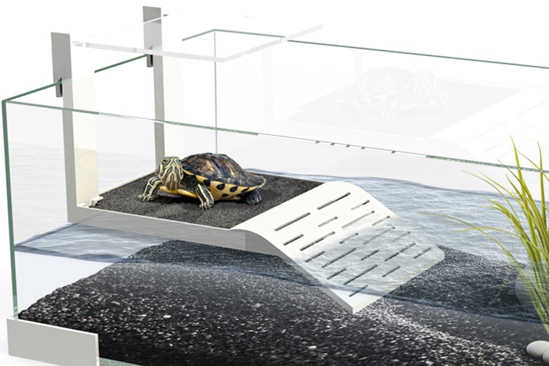 Rampa para aquários de tartarugas
