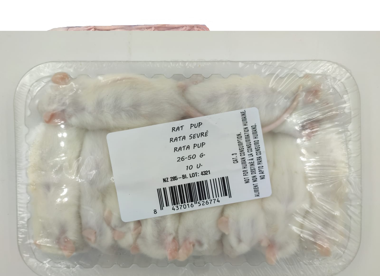 Alimento congelado Ratazanas pupy