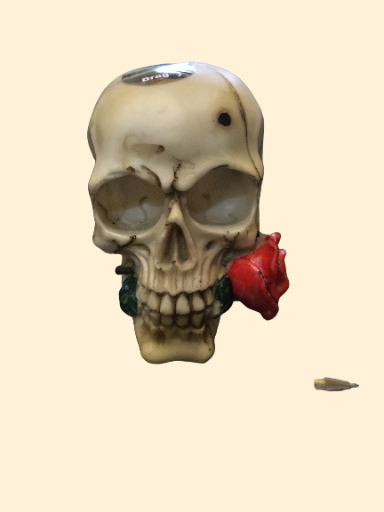 Crânio decorativo com flores