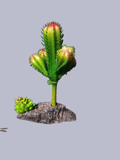 Planta de cacto decorativa