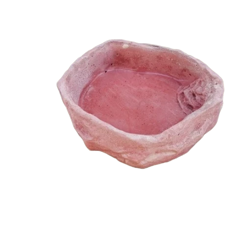 Bebedouro xl