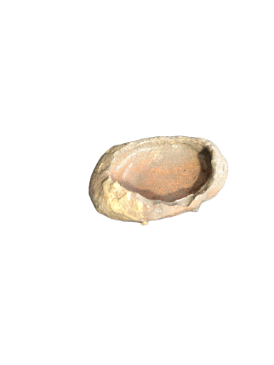 Bebedouro repteis nano
