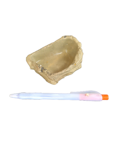 Bebedouro pequeno repteis oval