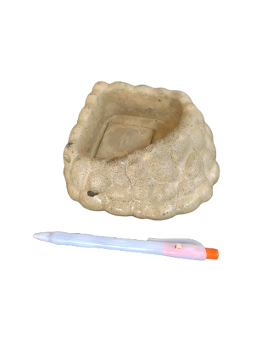 Bebedouro repteis canto