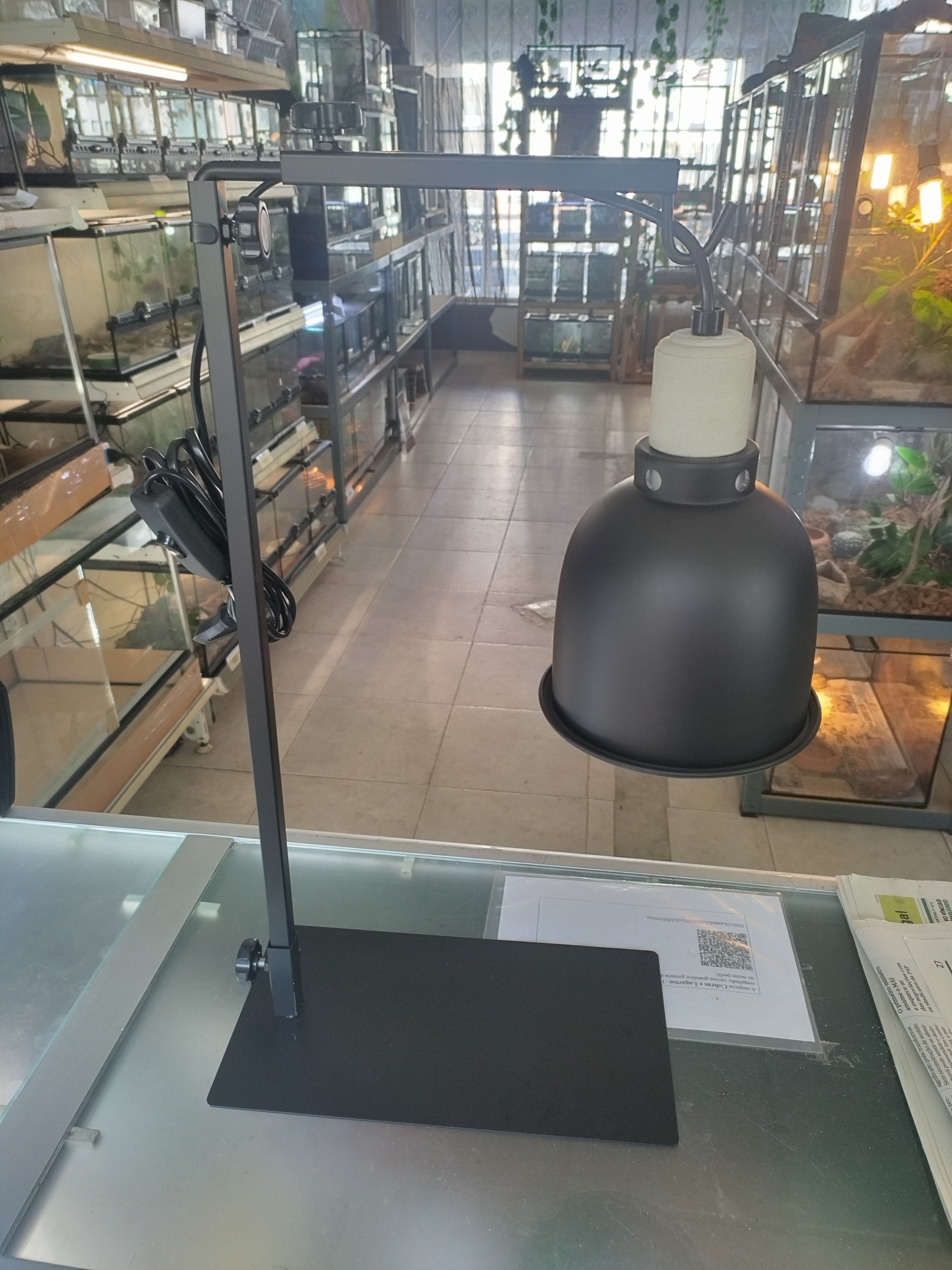 Campanula + suporte elevatorio