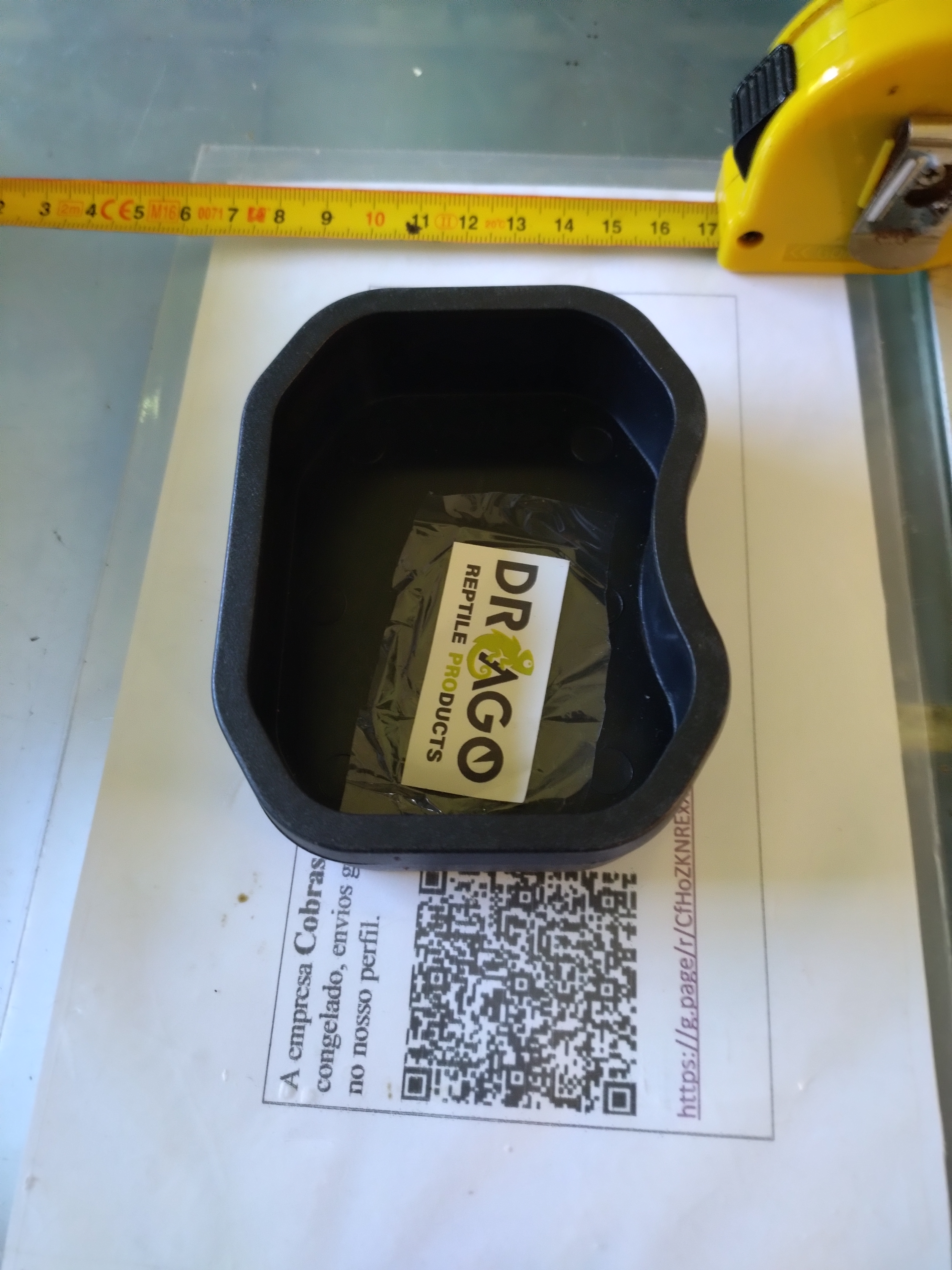 Tigela para Répteis Drago pequena