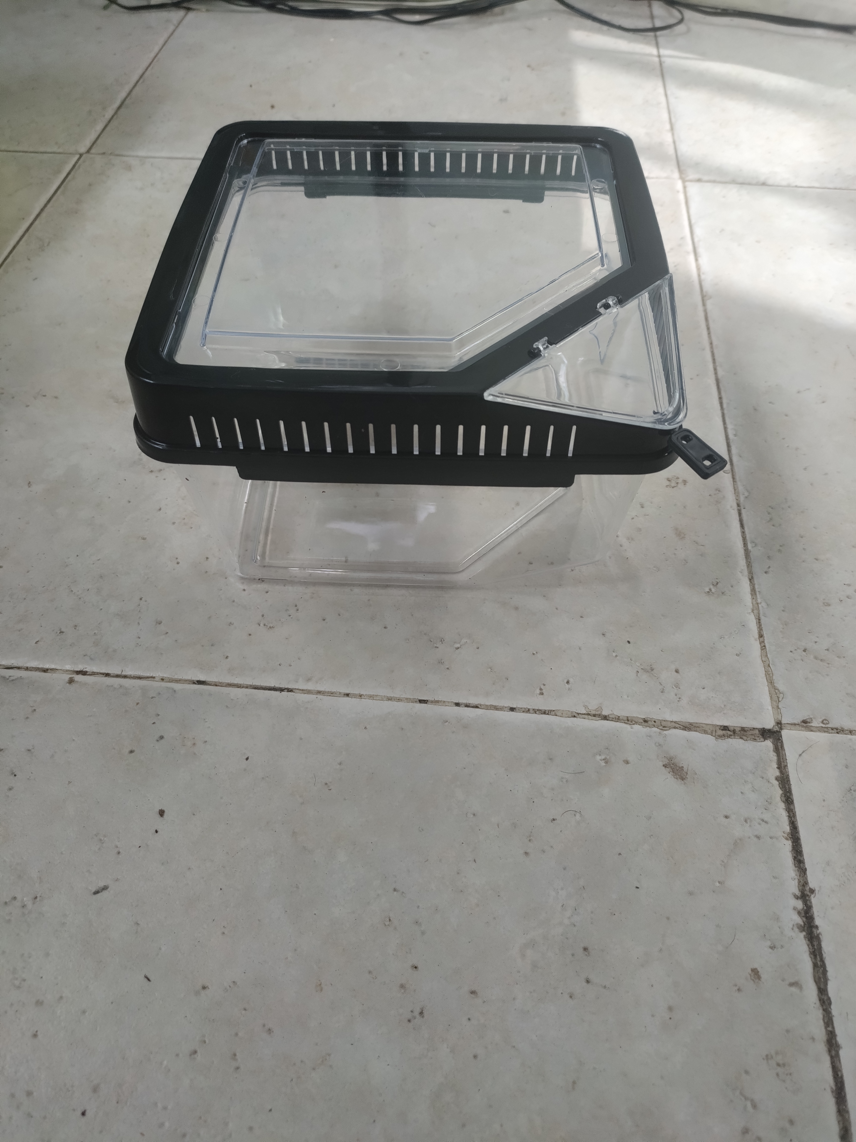 Caixa de Transporte para Pequenos Animais