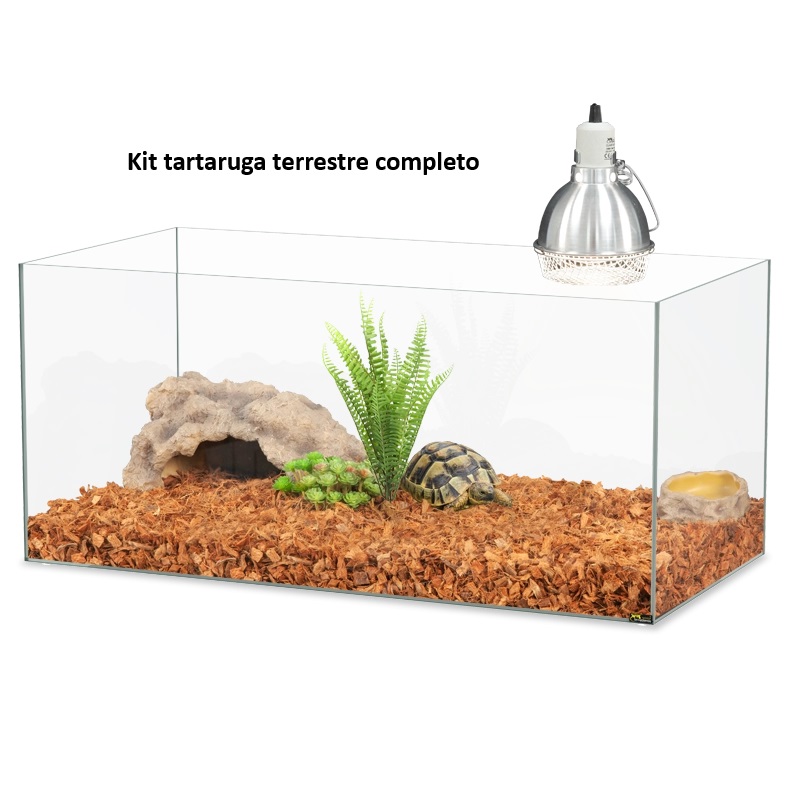 Kit Completo para Tartaruga Terrestre