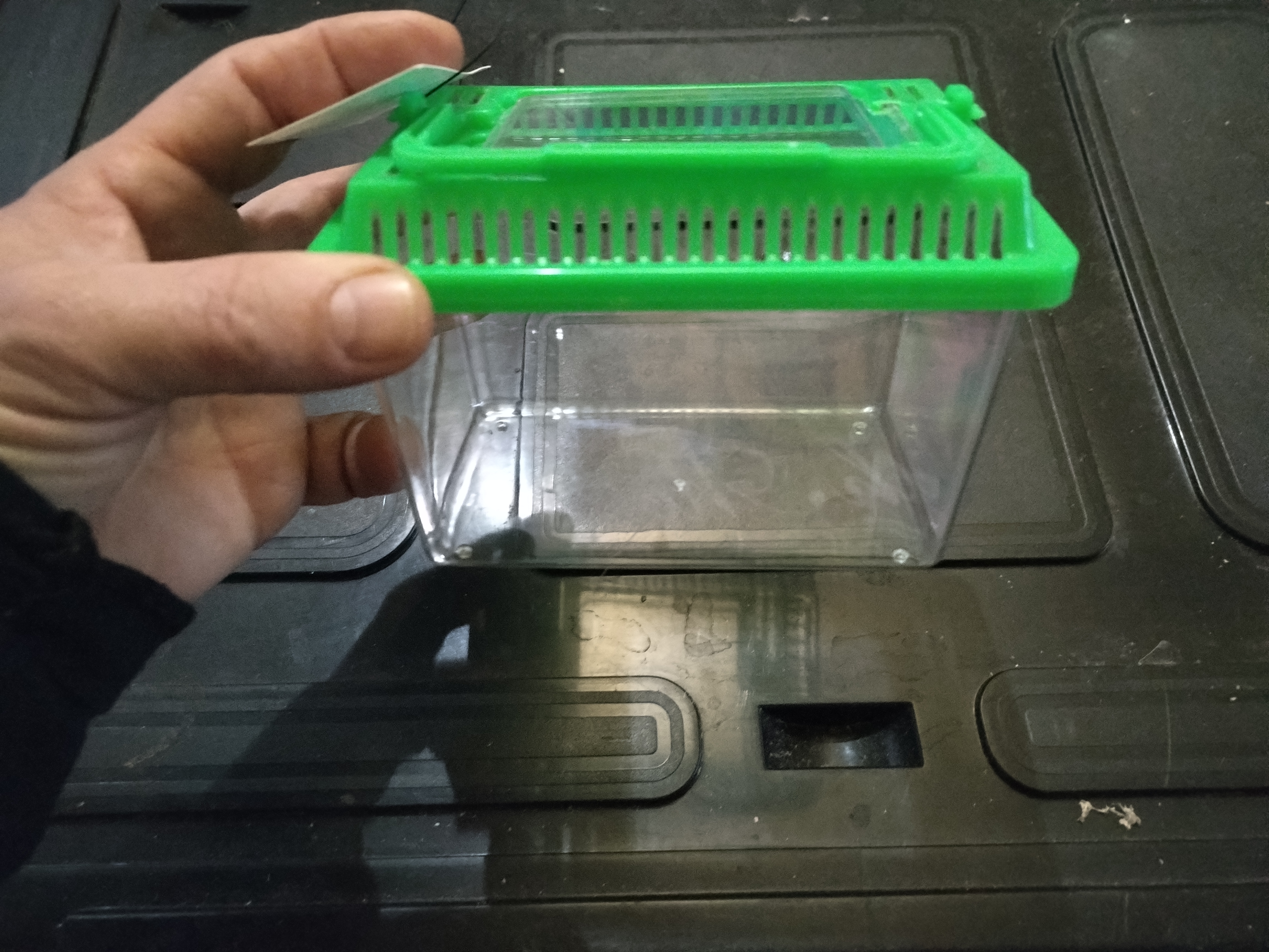 Caixa para animais pequenos