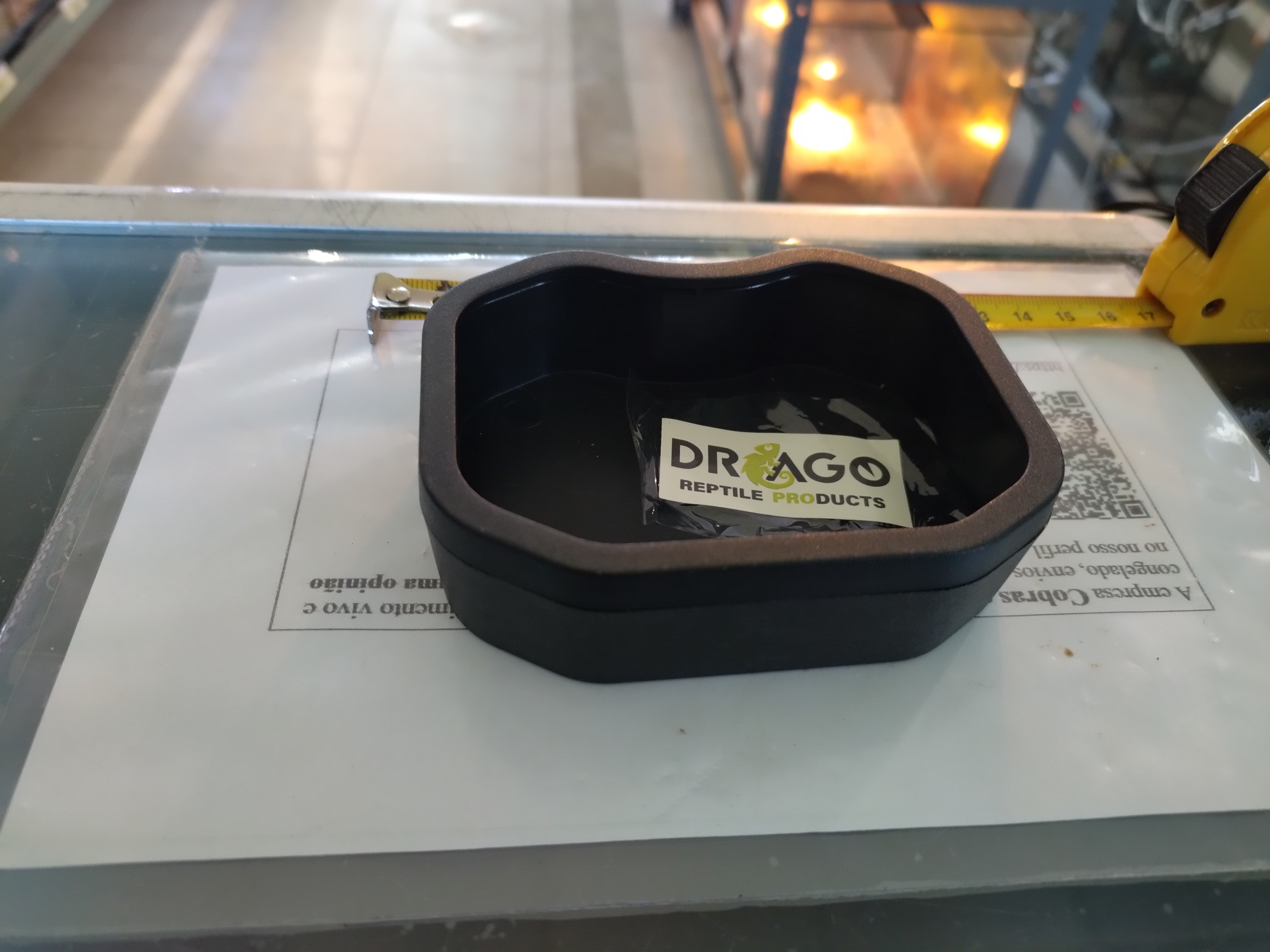 Tigela para Répteis Drago pequena