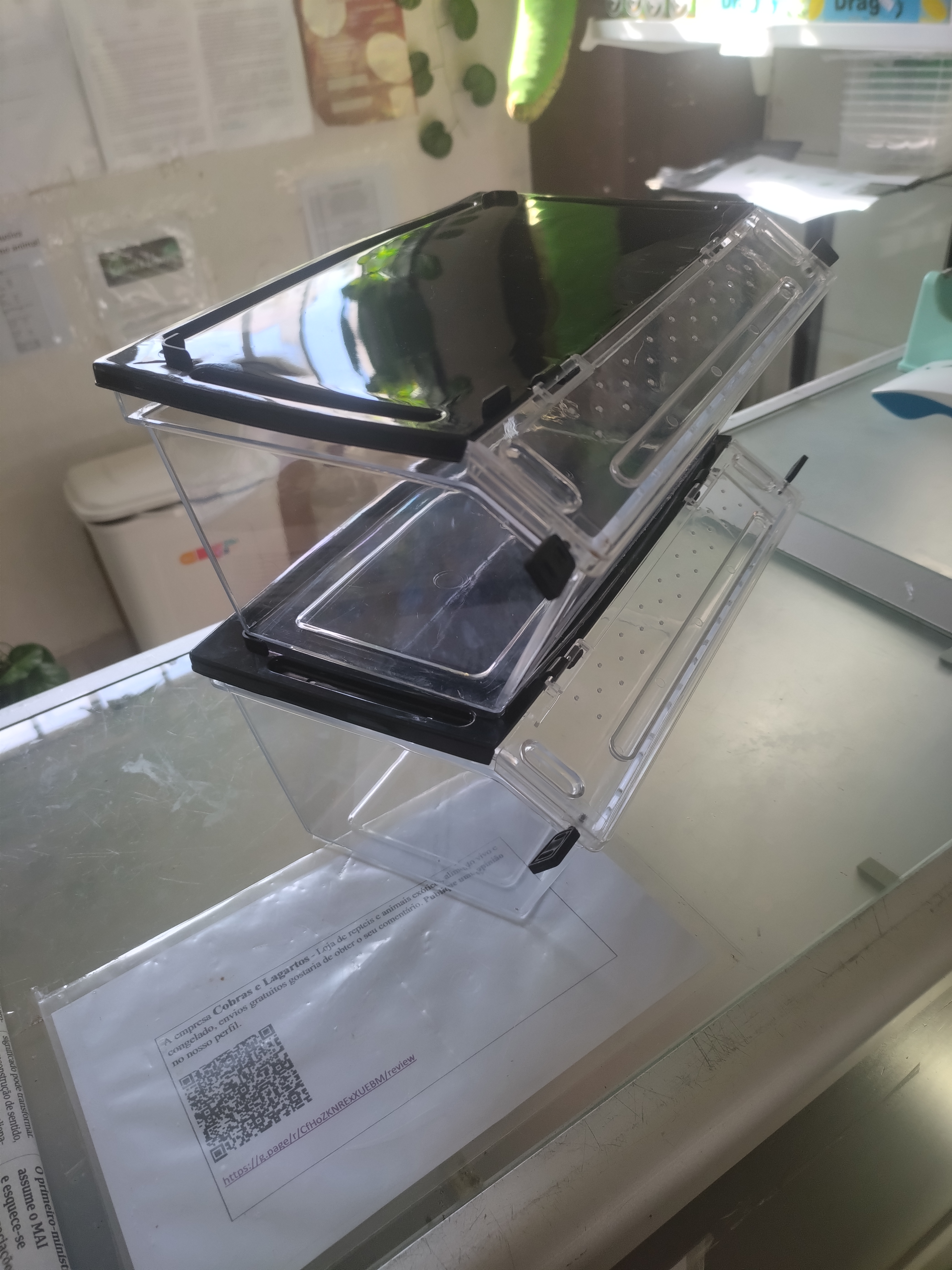Caixa Acrílica para alimento vivo
