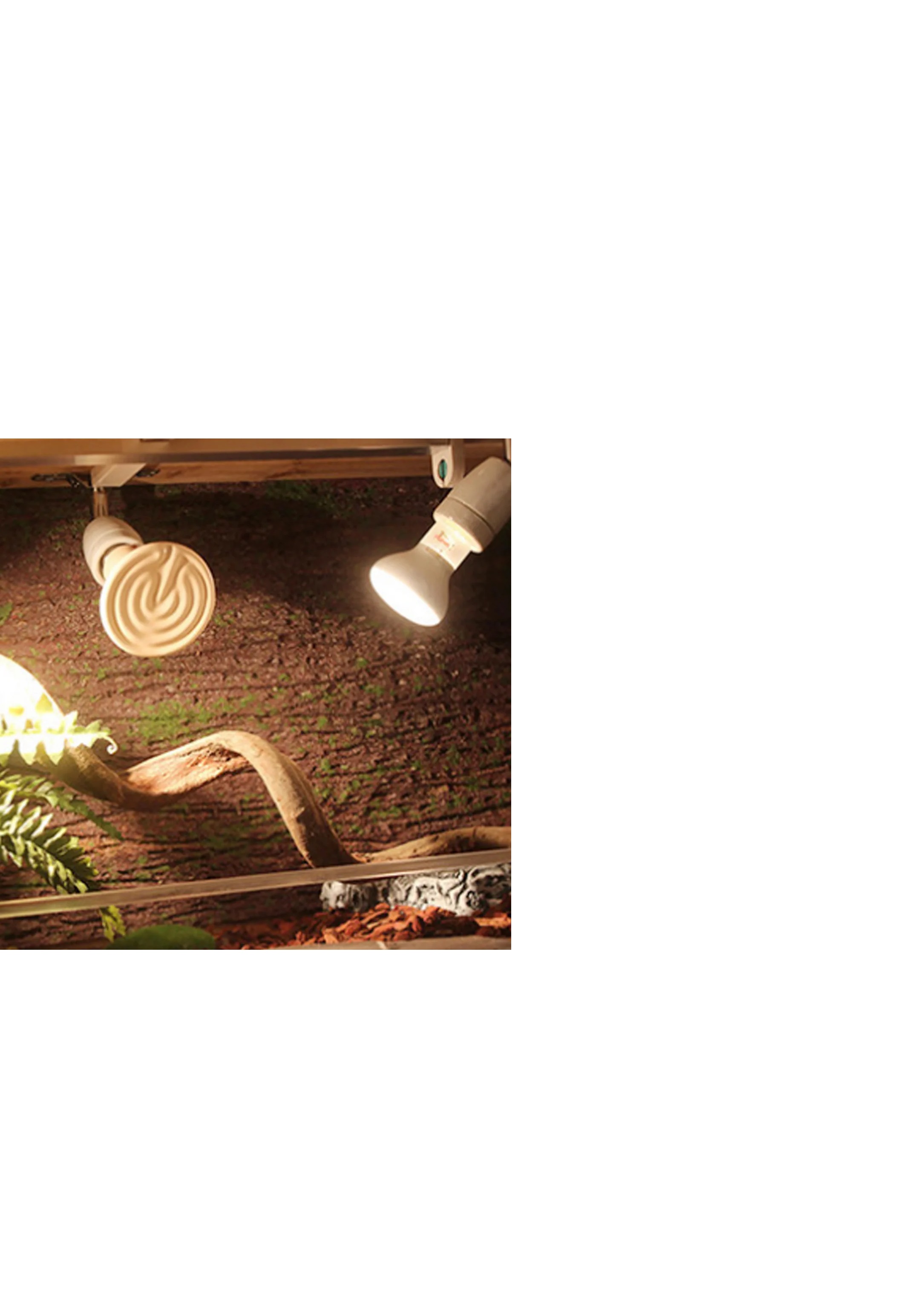 Casquilho com suporte de lampada giratorio