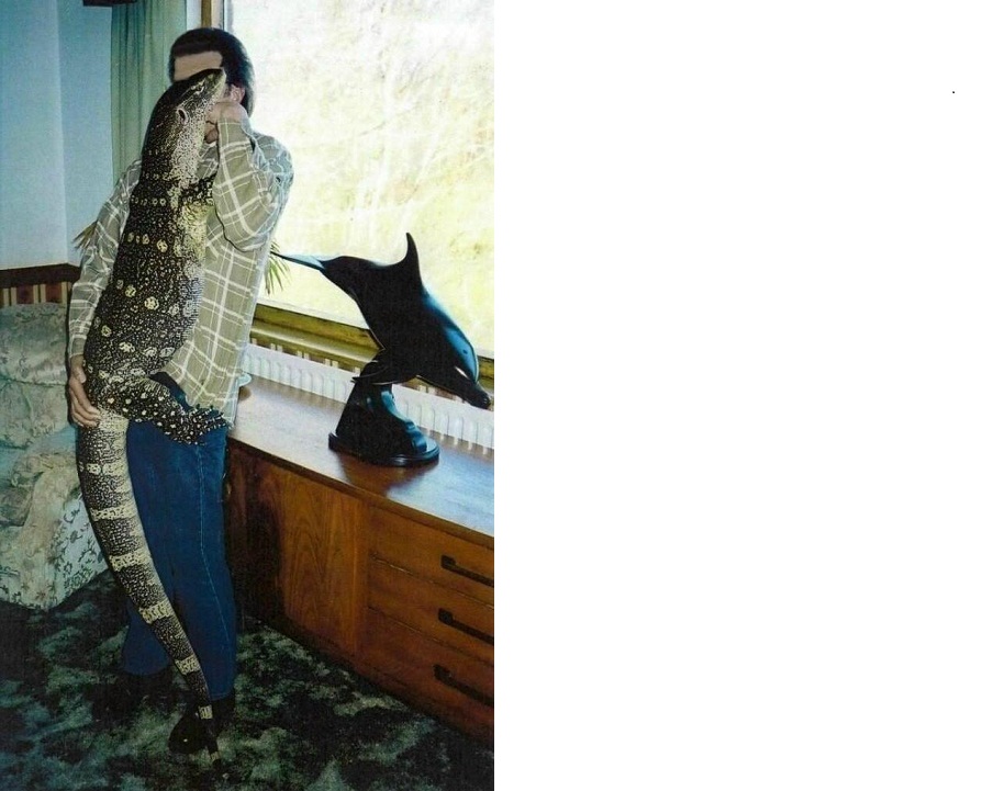 Varanus Ornatus
