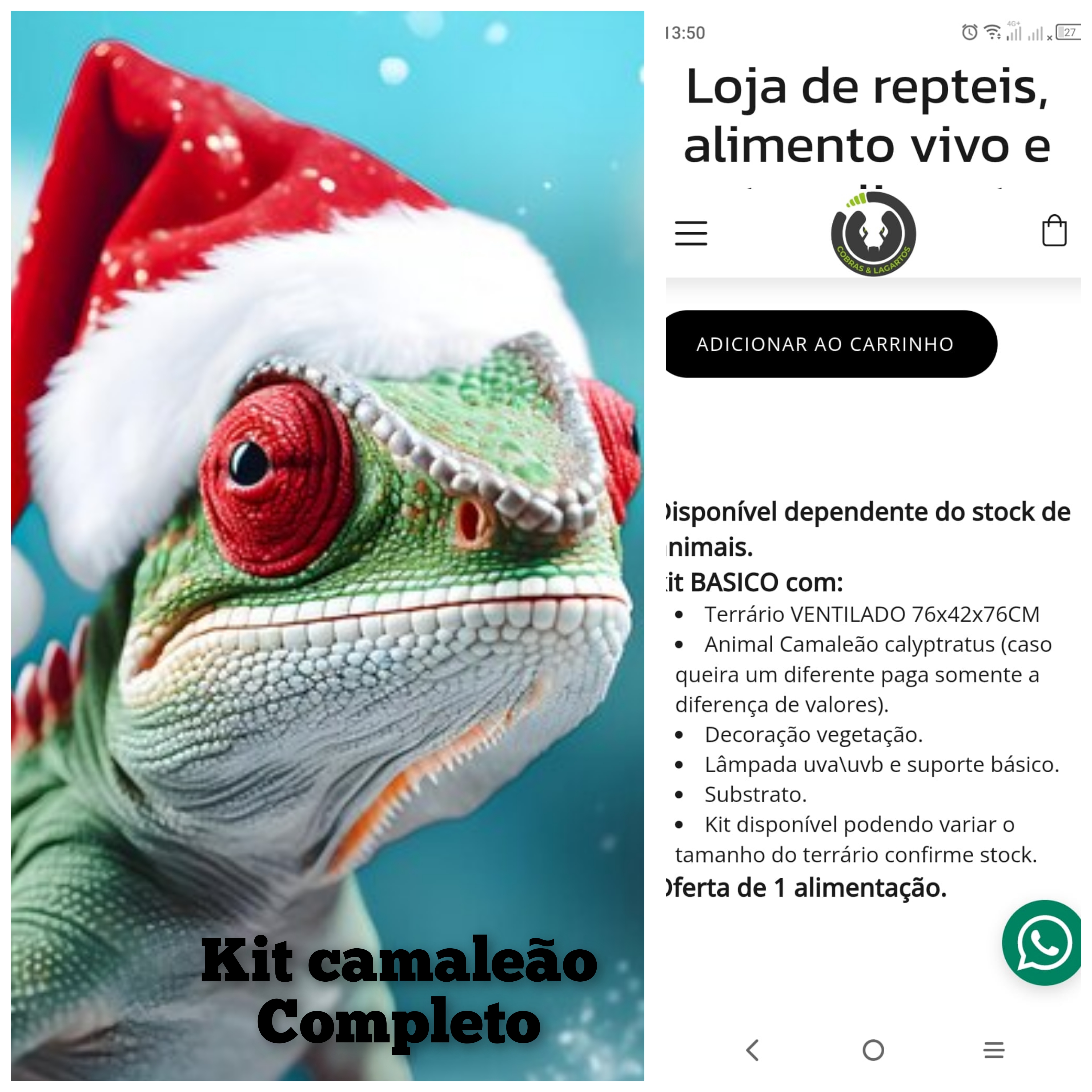 Kit NATAL Camaleão Promocional