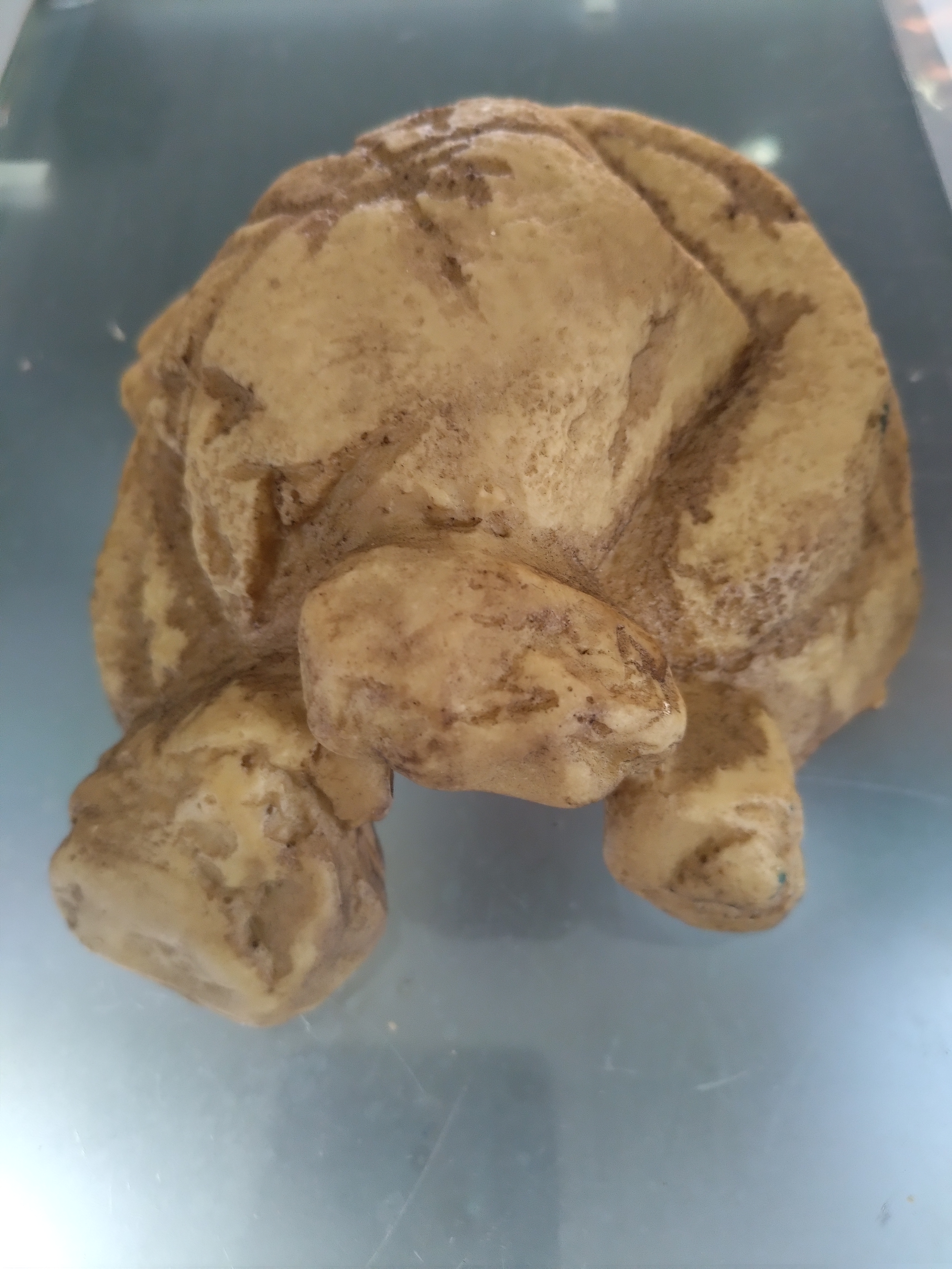 Gruta natural para cobras e lagartos