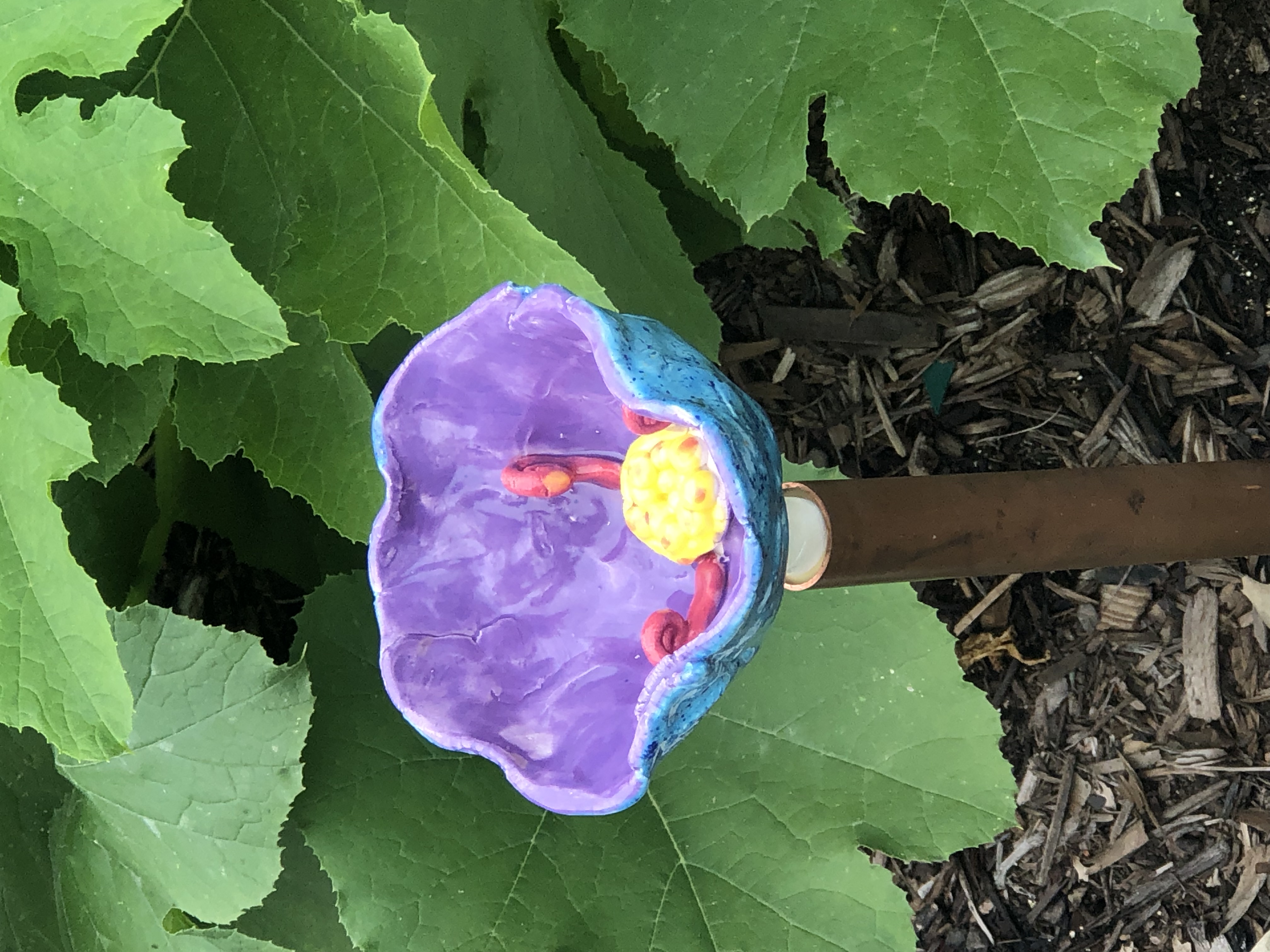 Bee Watering Cup