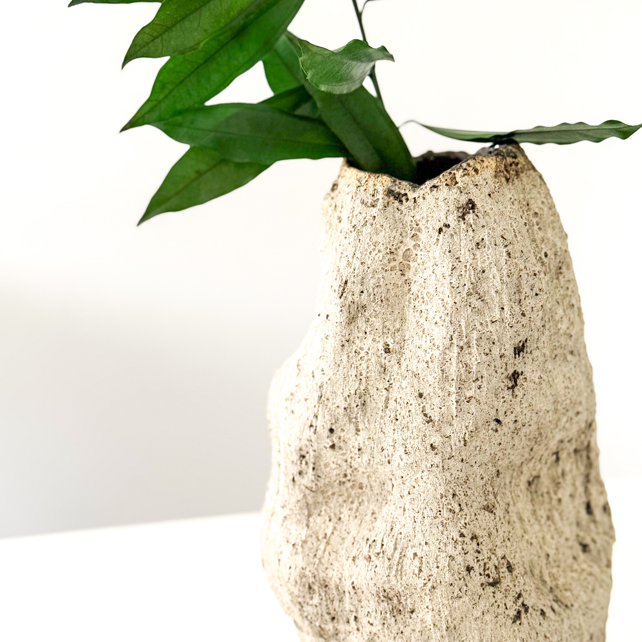 Keraminė vaza "RUSTIC"