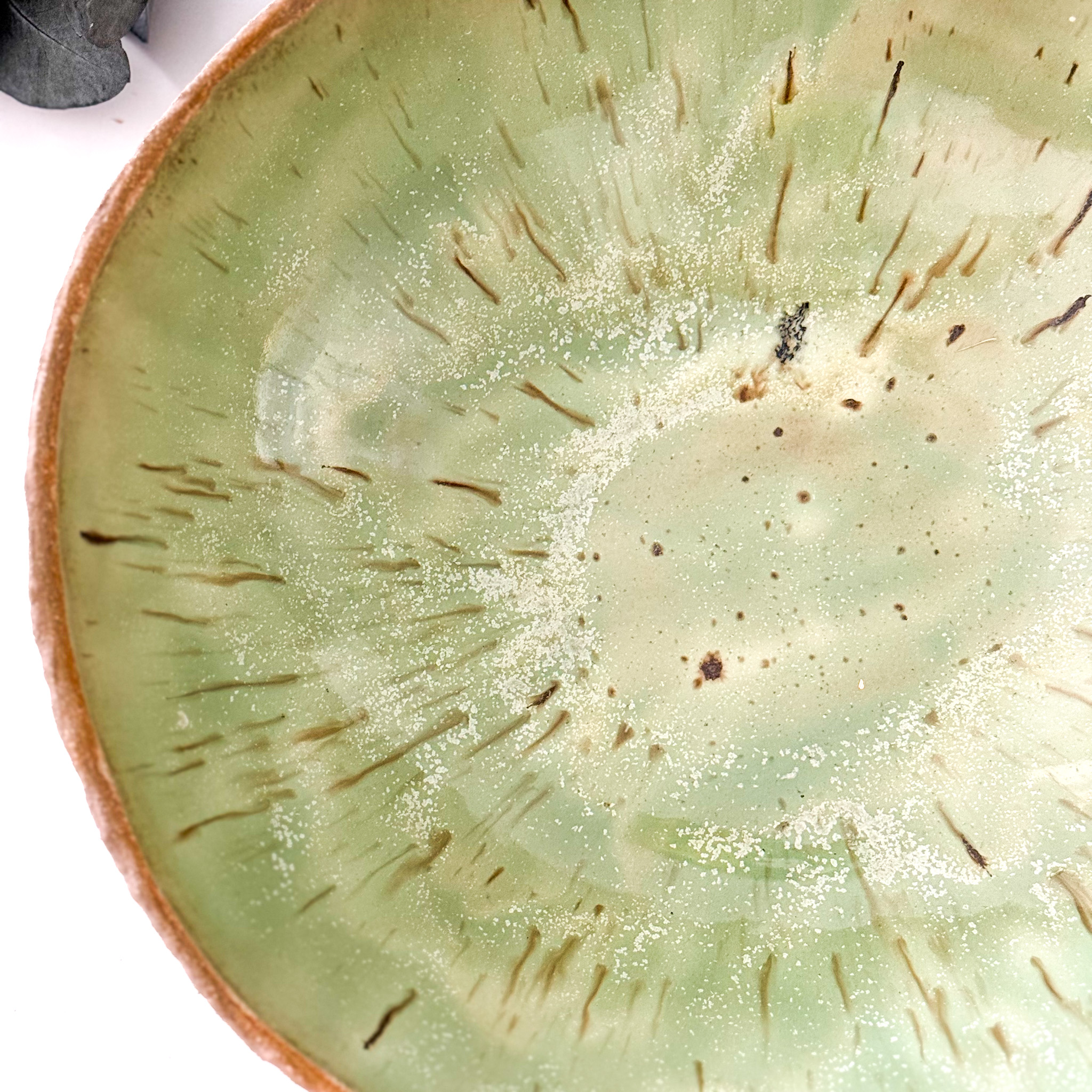 Keraminis dubuo "MOSS"