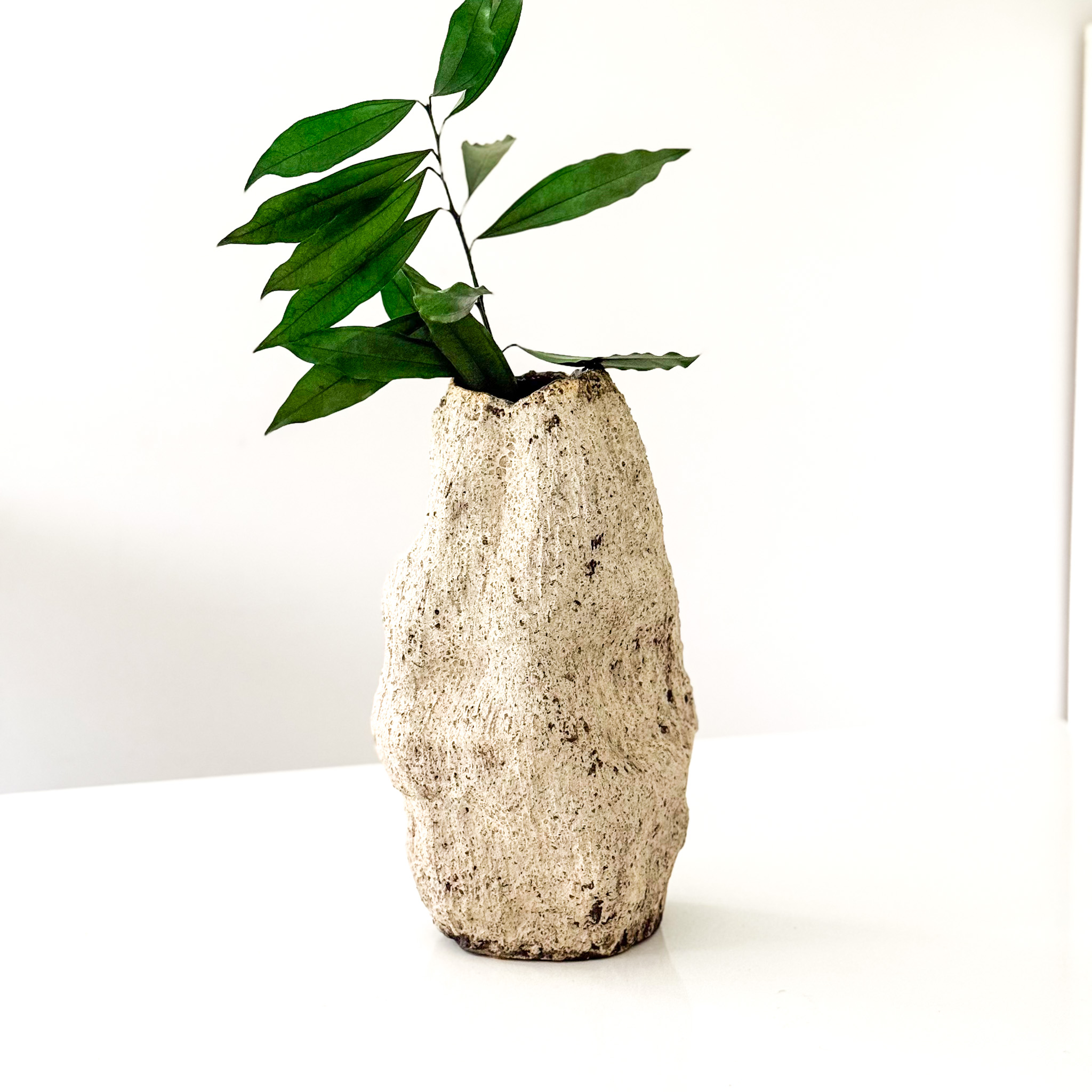 Keraminė vaza "RUSTIC"