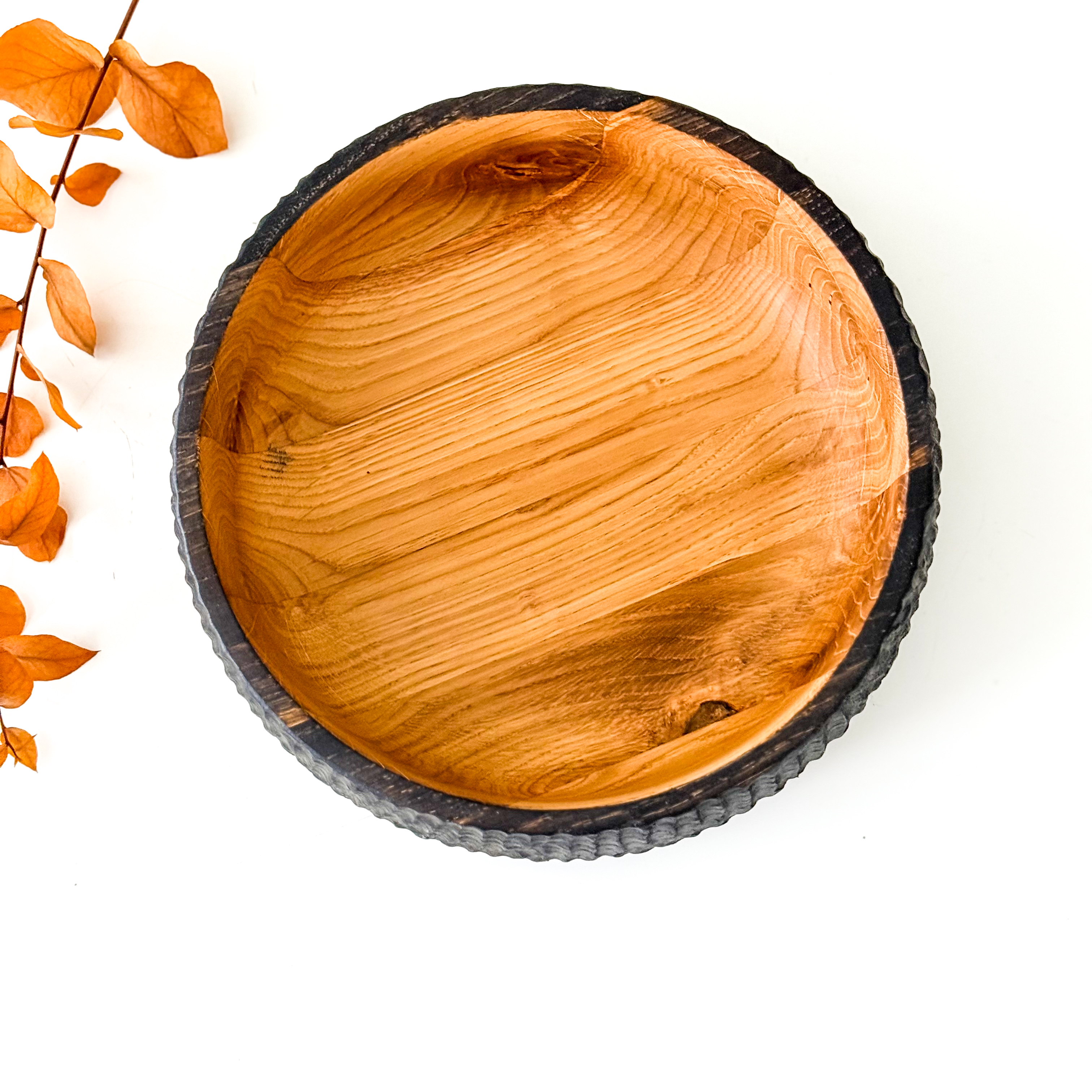 Medinis dubuo "FOREST IN MIDI"