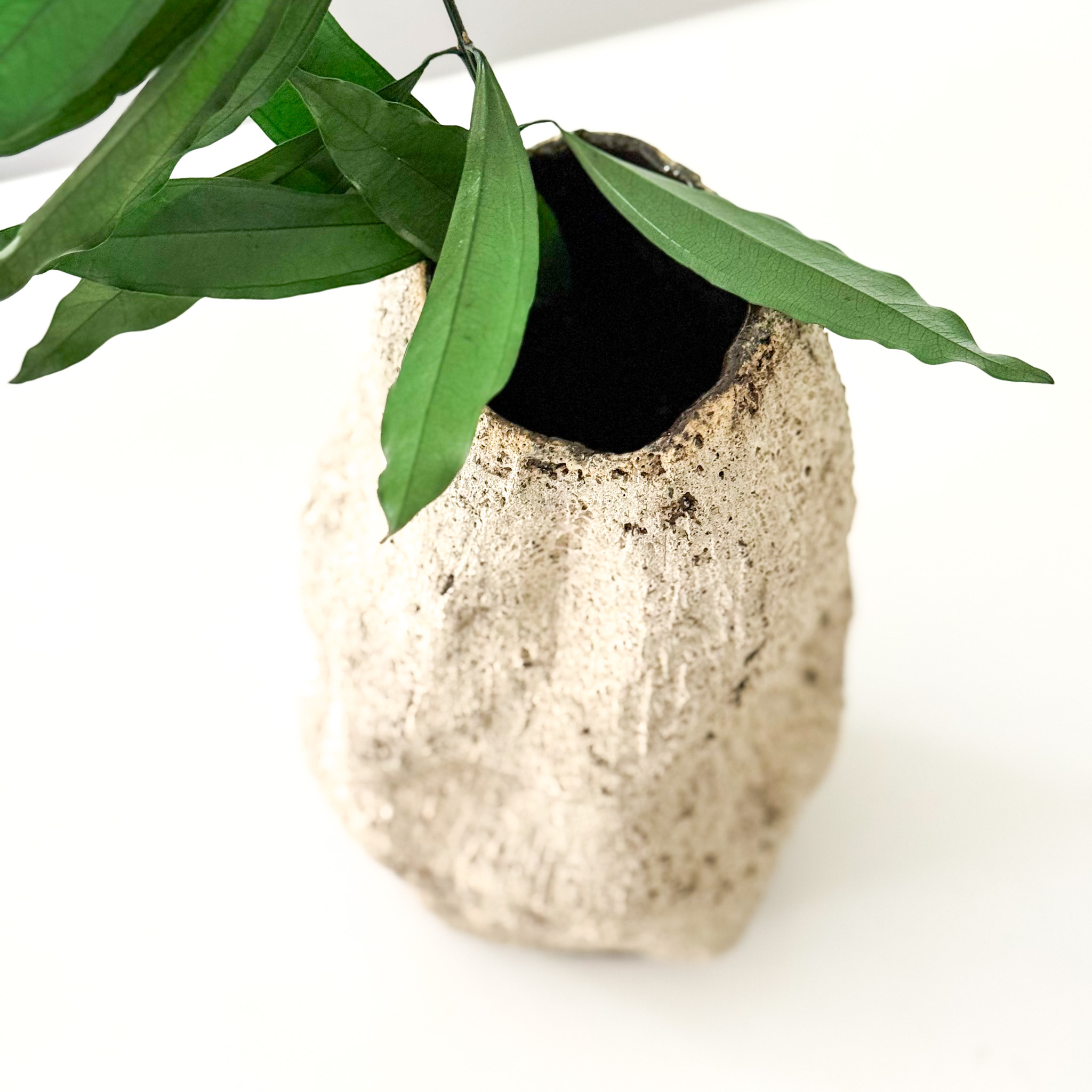 Keraminė vaza "RUSTIC"