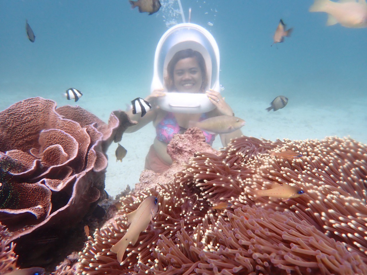 Premium Quality Helmet Diving