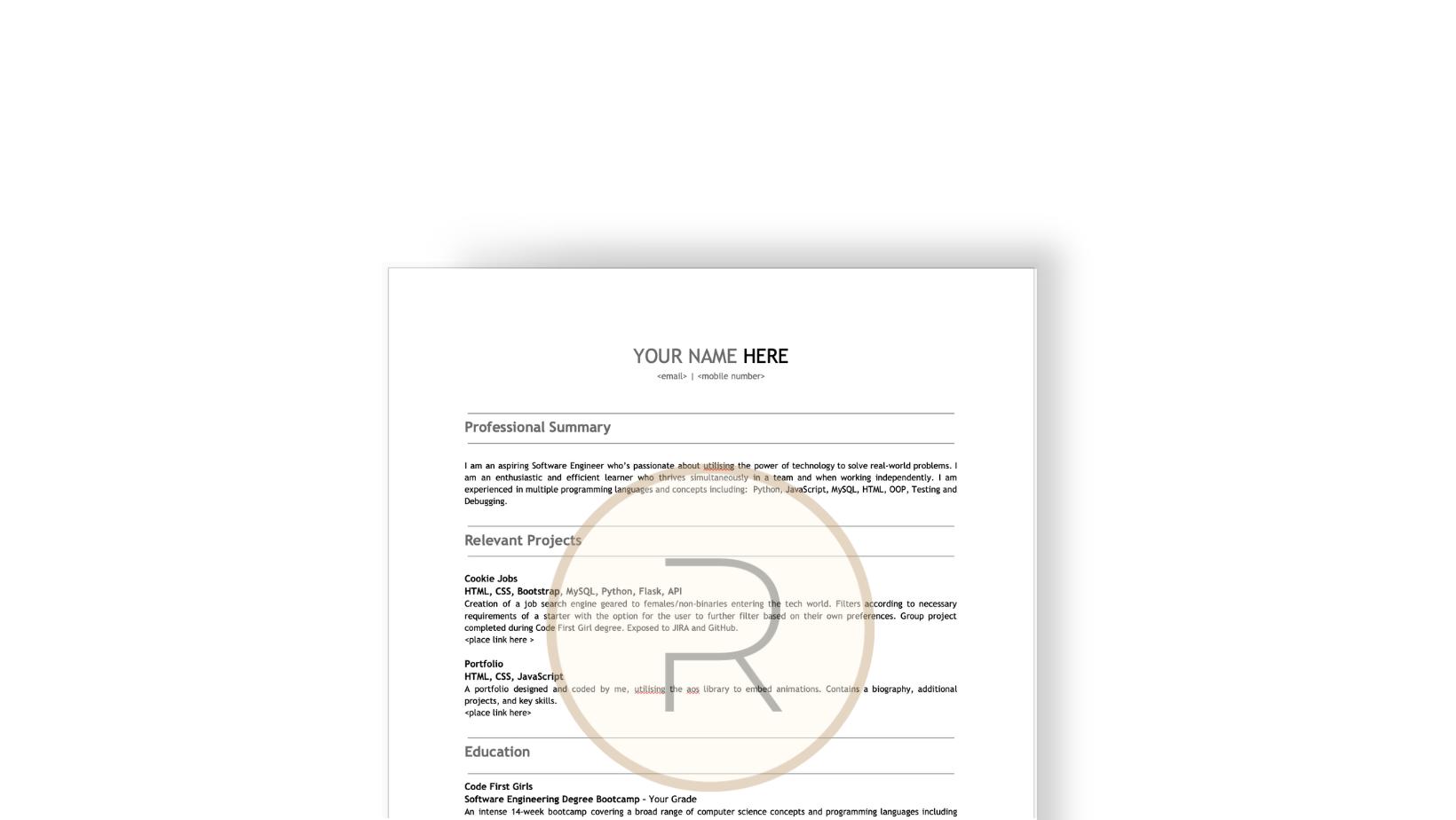 Software Engineer CV Template