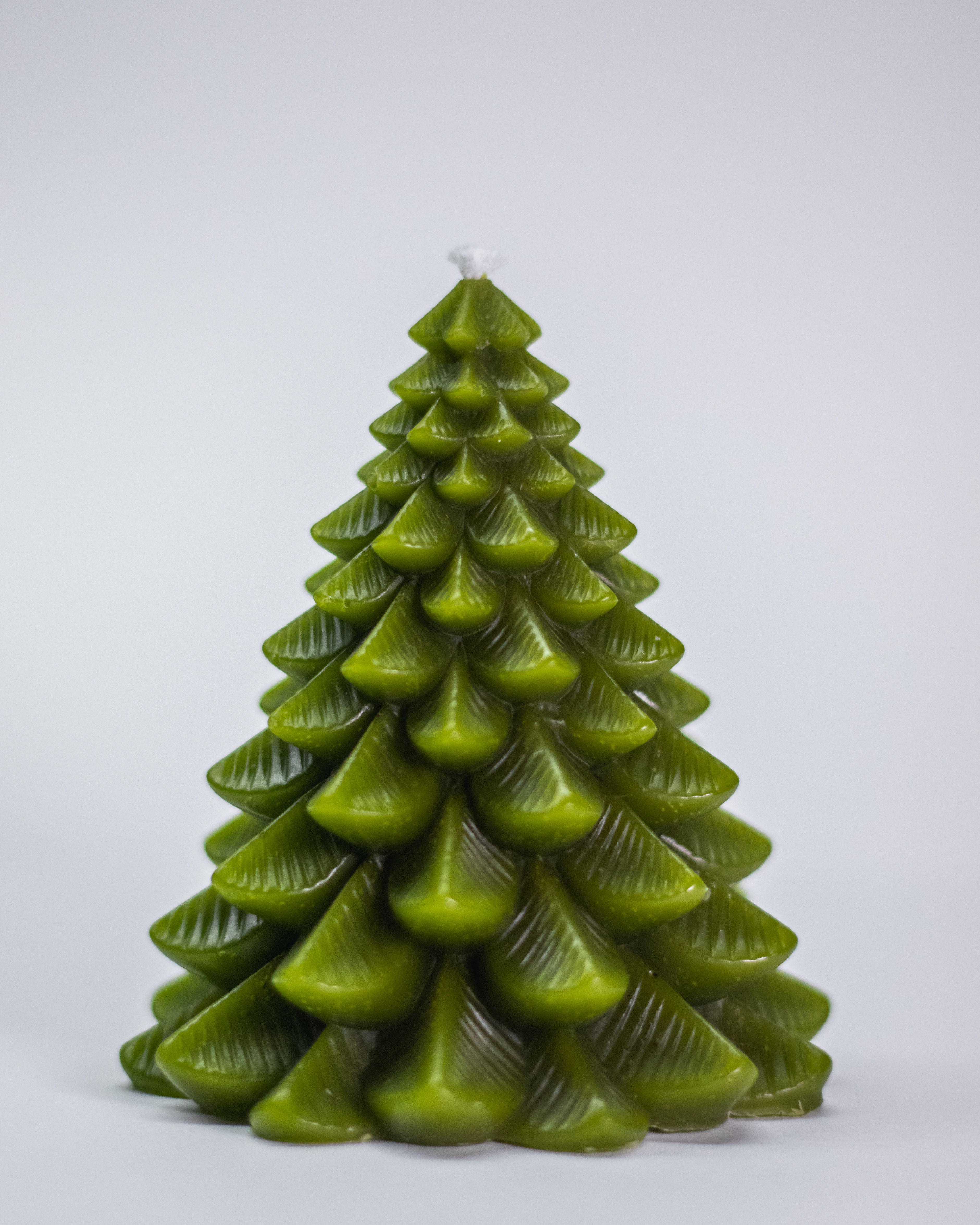 Bičių vaško žvakė Eglė