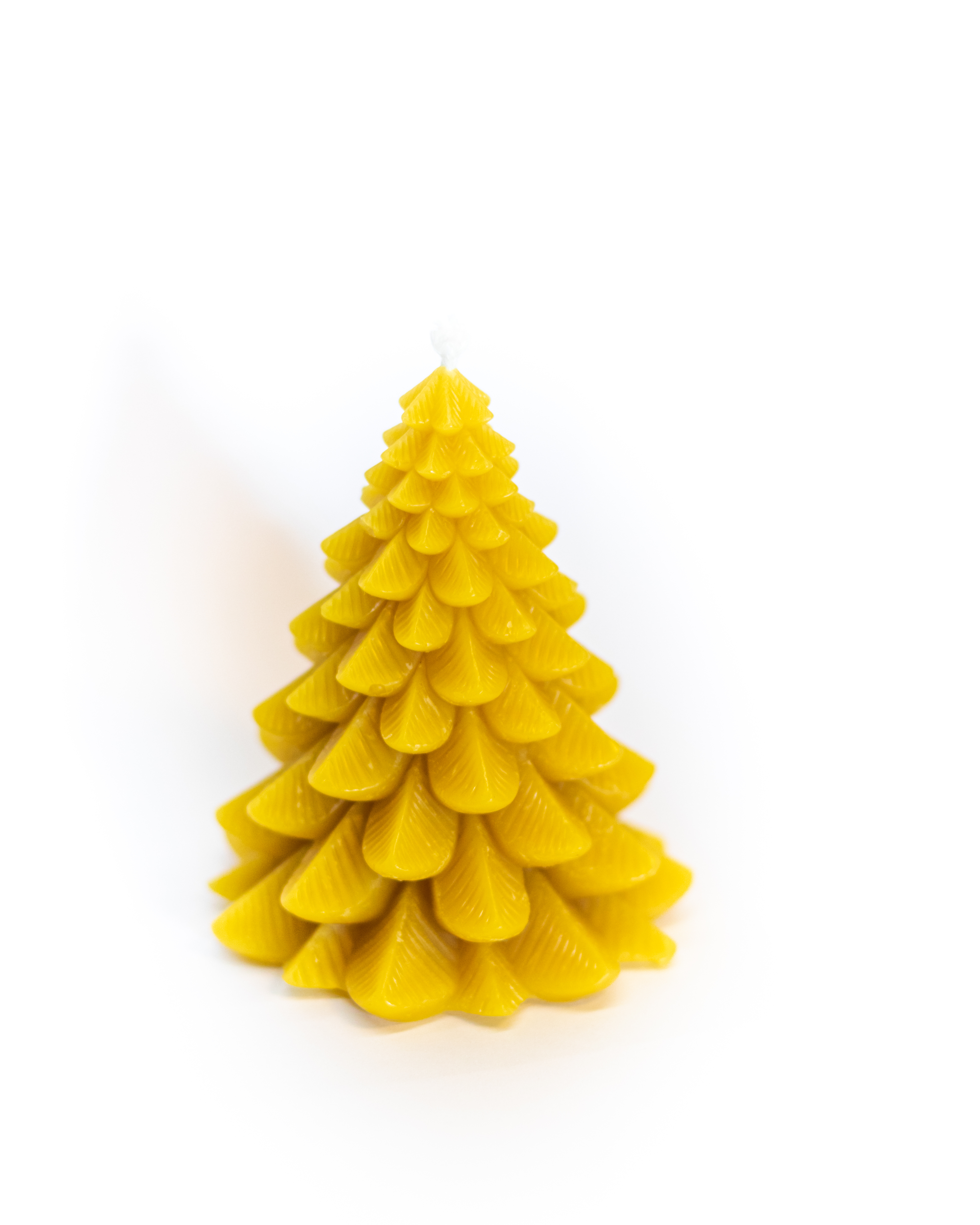 Bičių vaško žvakė Eglė