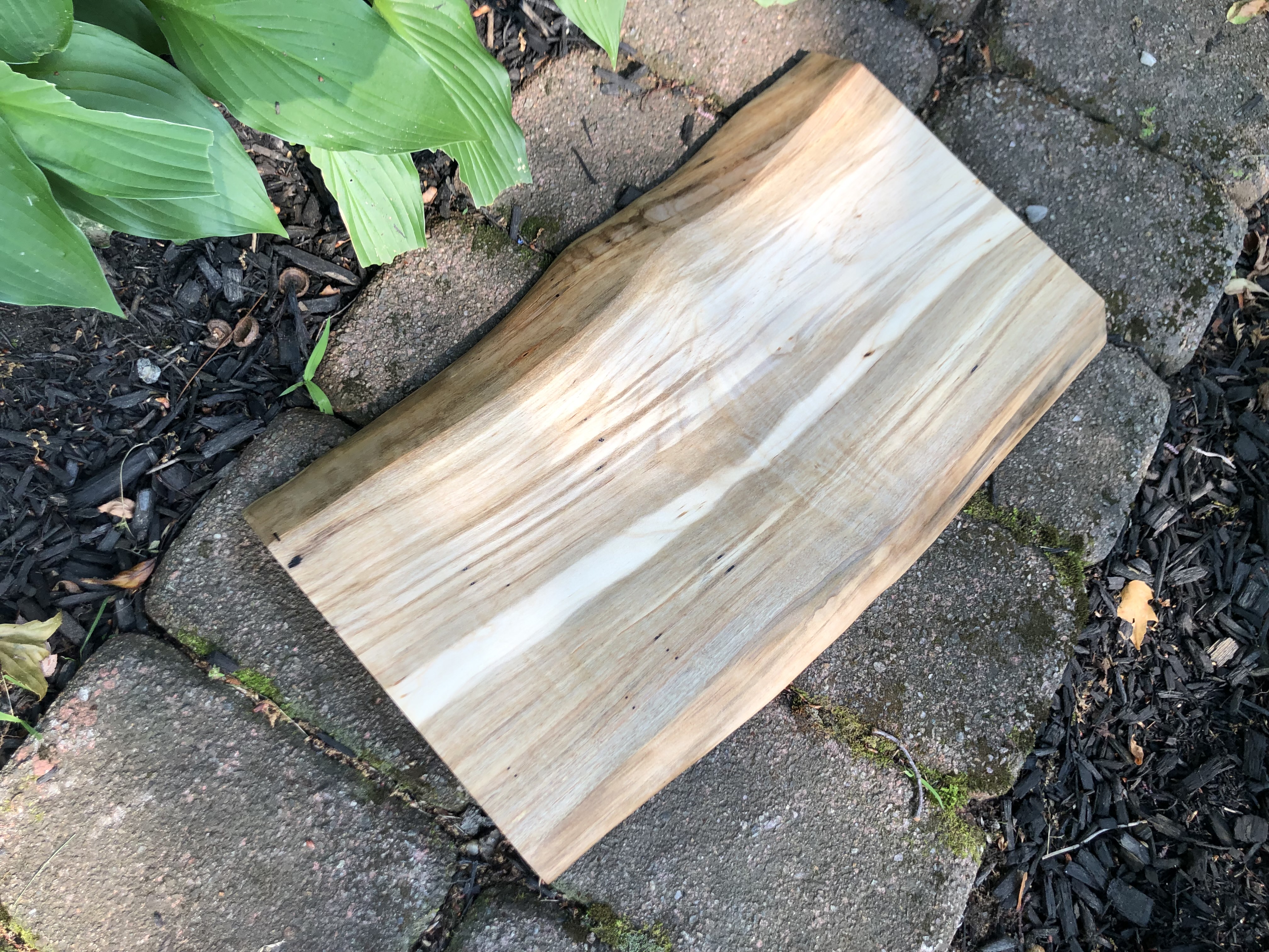 Live Edge Ambrosia Maple Charcuterie Board 18-1/4 X 11-1/4" X 1"