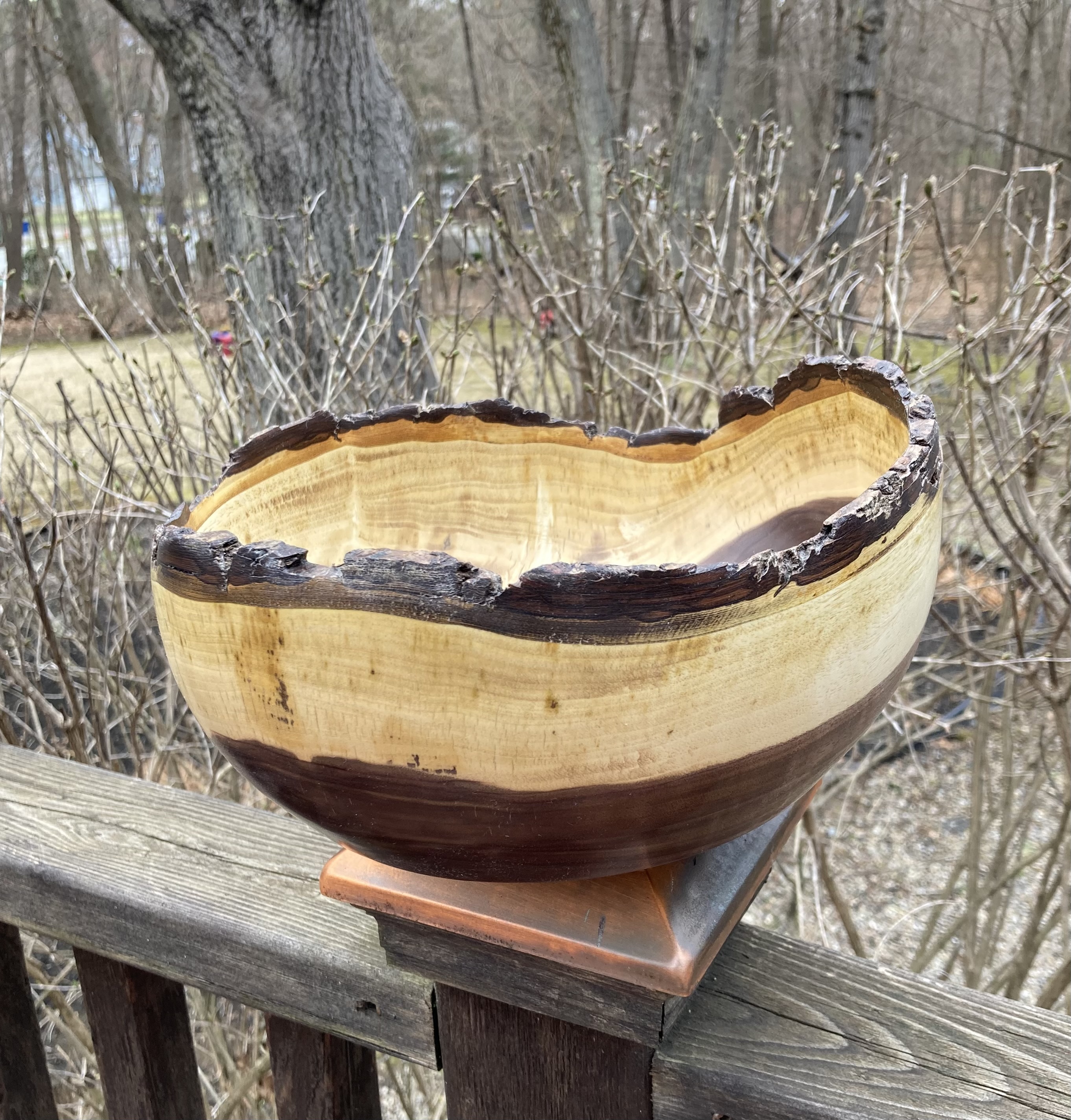 Large Bark Edge Crotch Walnut Bowl Approx 10" Diameter X 5" Tall