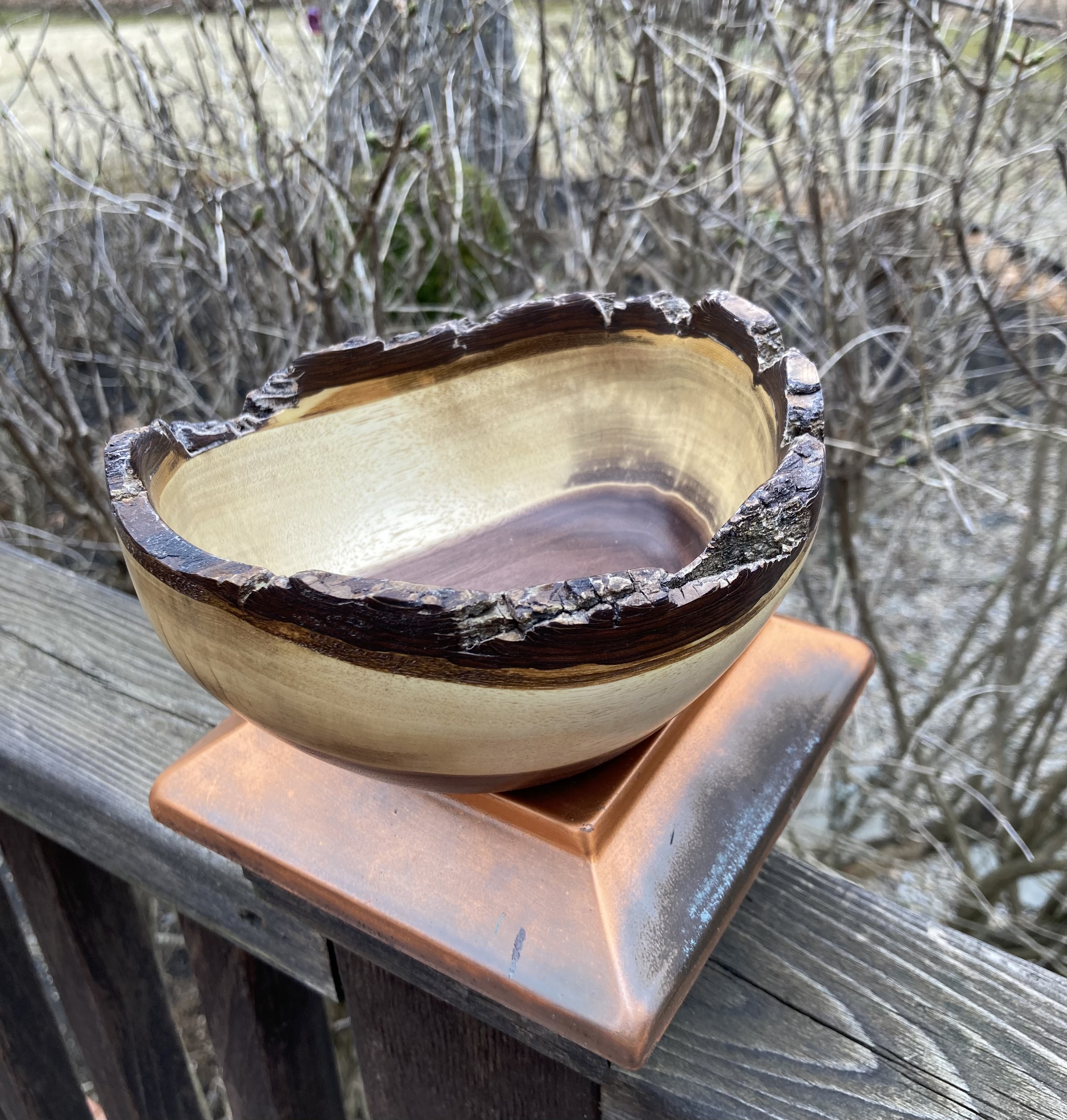 Small partial bark edge Walnut bowl approx 5 3/4" diameter X 3' tall