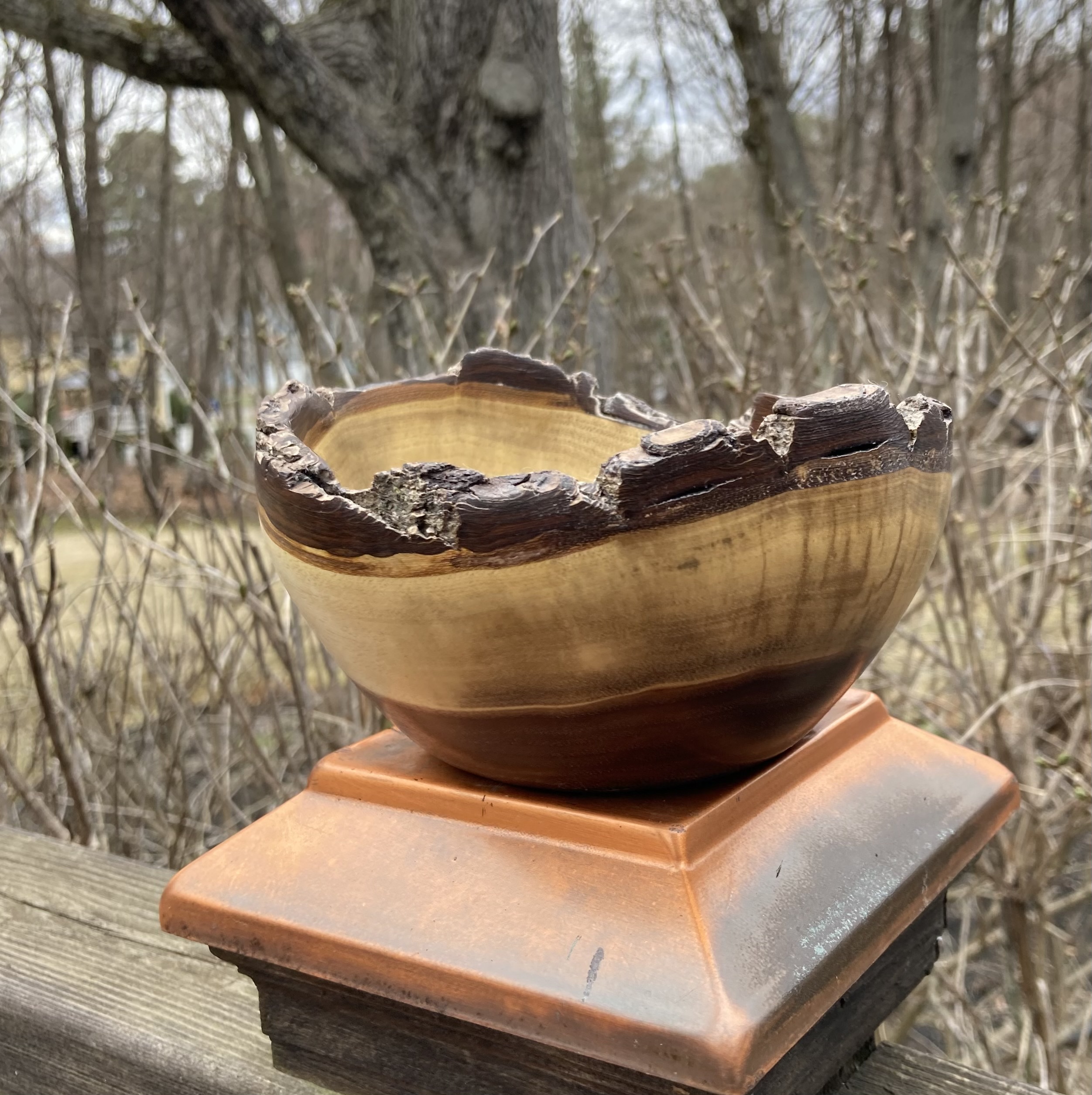 Small partial bark edge Walnut bowl approx 5 3/4" diameter X 3' tall