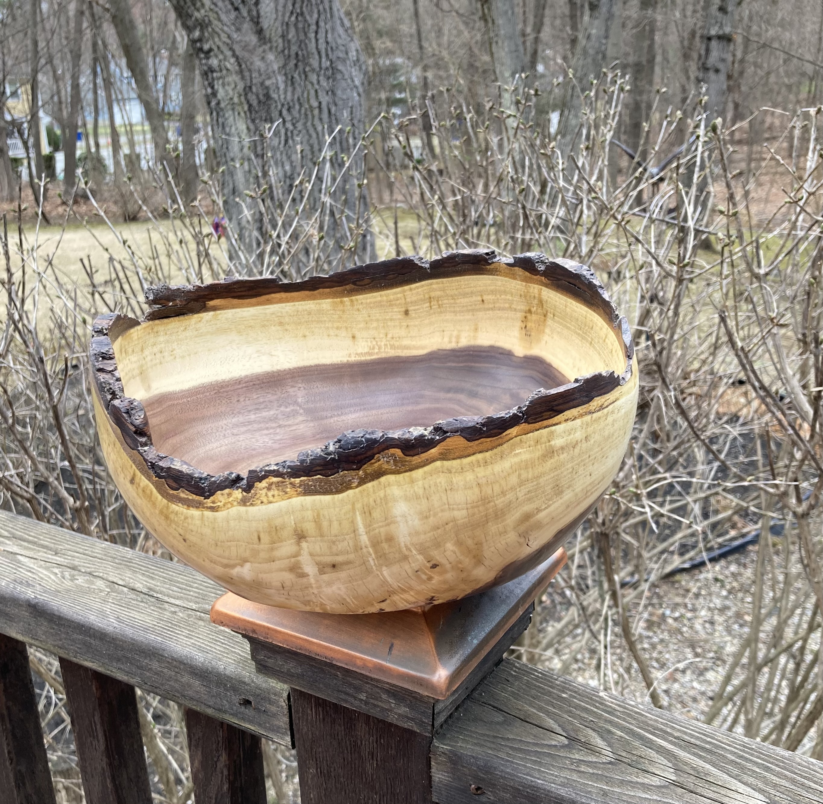 Large Bark Edge Crotch Walnut Bowl Approx 10" Diameter X 5" Tall