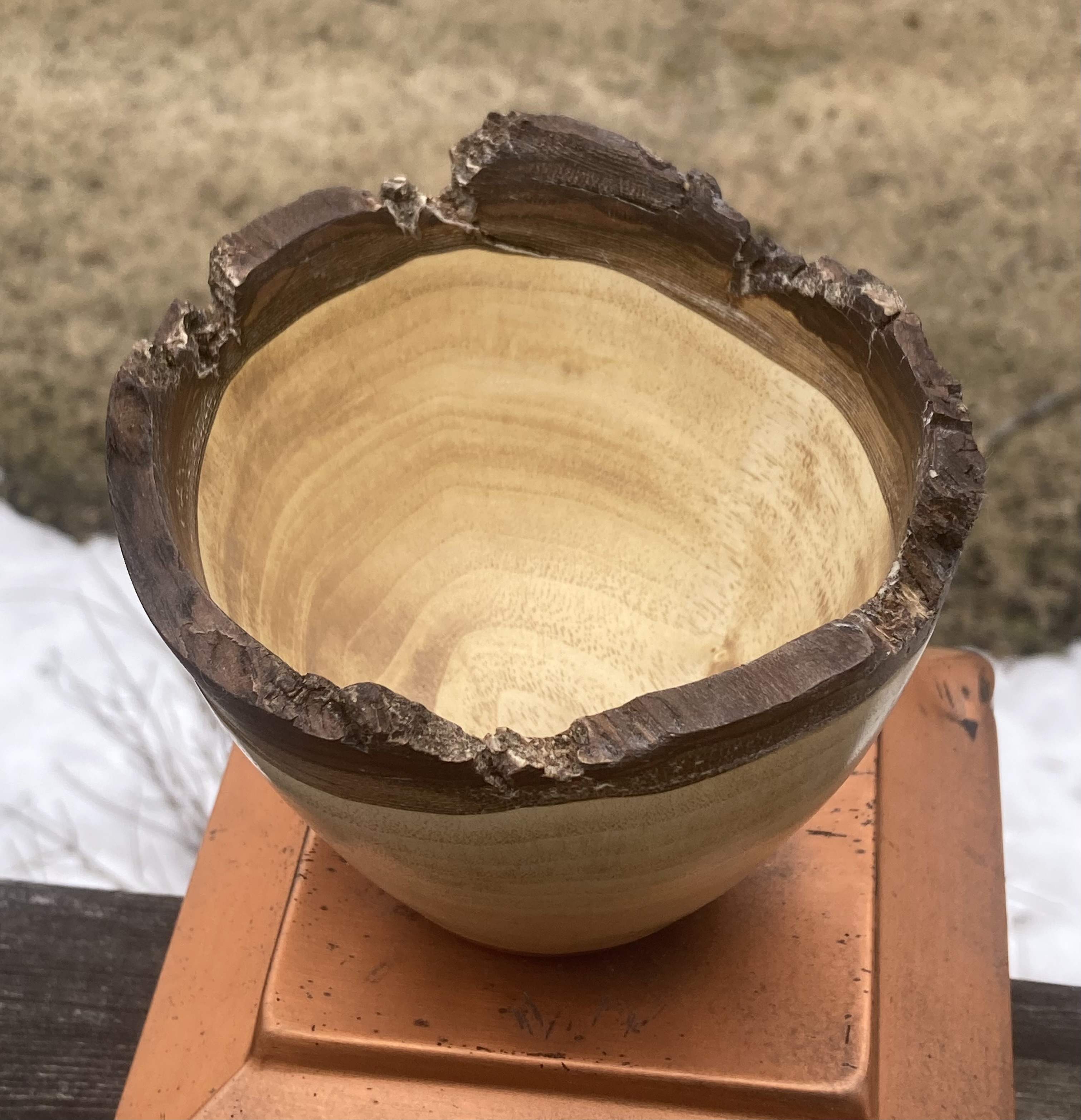 Small Bark Edge Walnut Bowl Approx 5" Diameter X 3 3/4" Tall