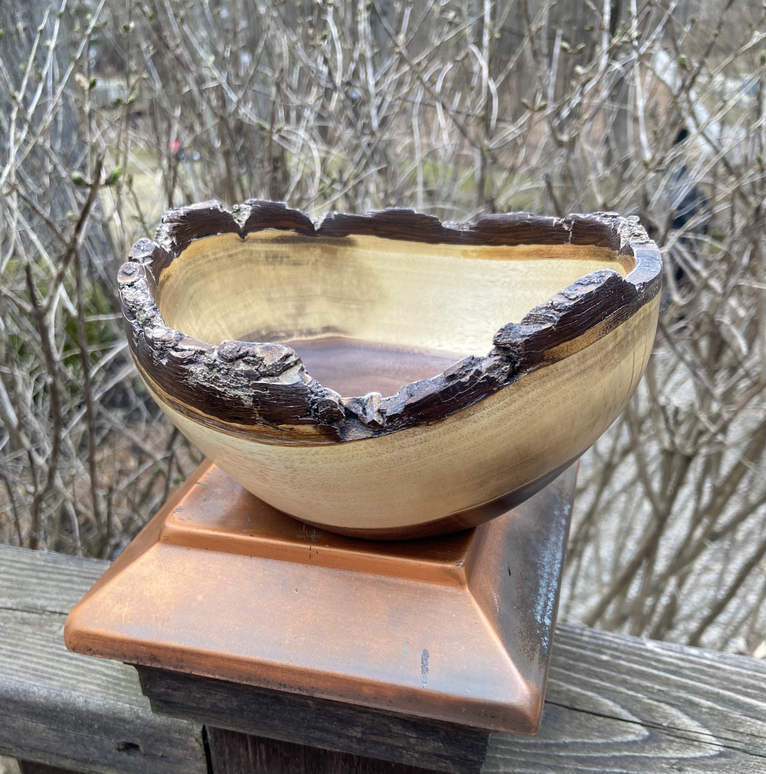 Small partial bark edge Walnut bowl approx 5 3/4" diameter X 3' tall