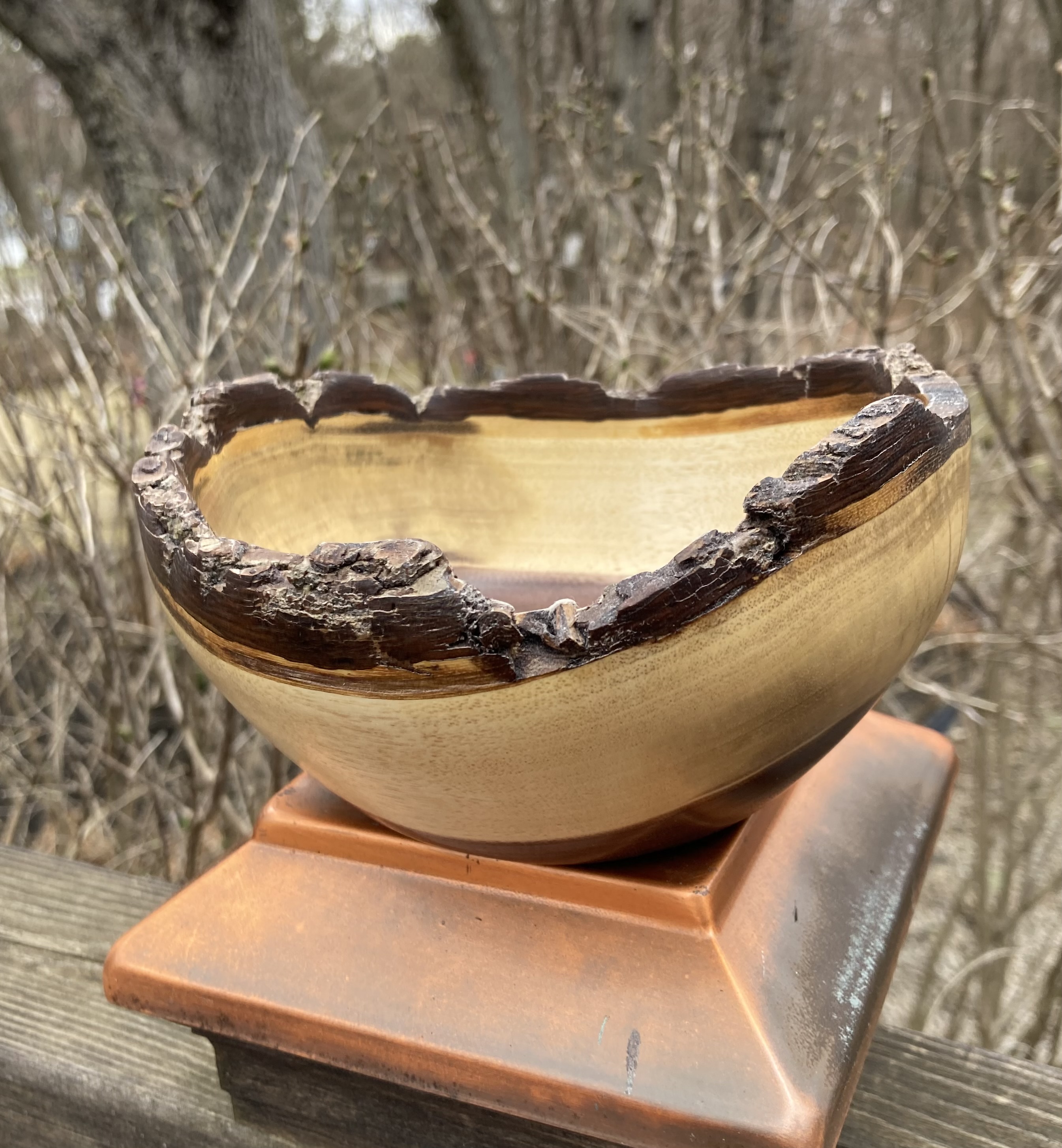 Small partial bark edge Walnut bowl approx 5 3/4" diameter X 3' tall