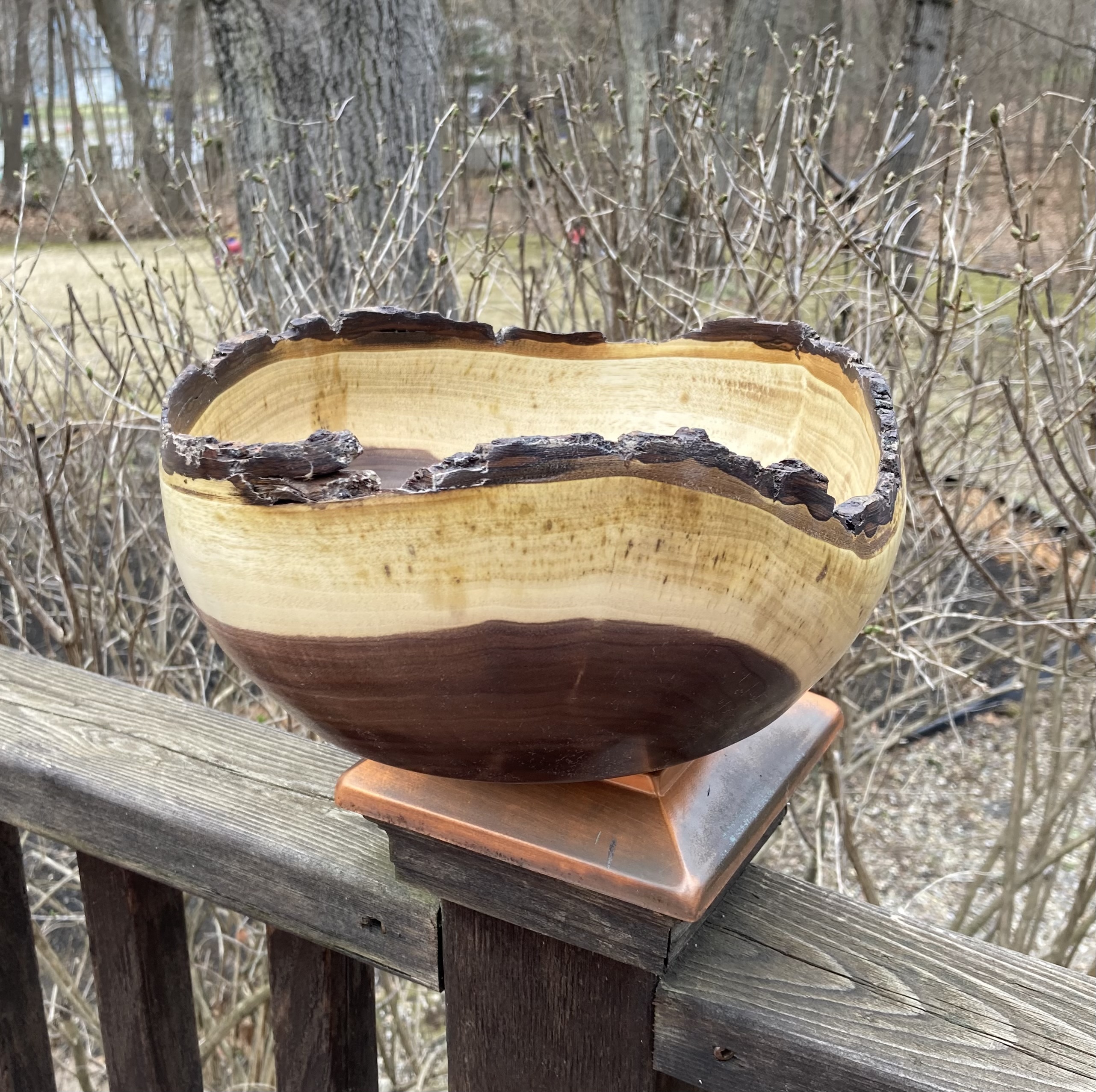 Large Bark Edge Crotch Walnut Bowl Approx 10" Diameter X 5" Tall