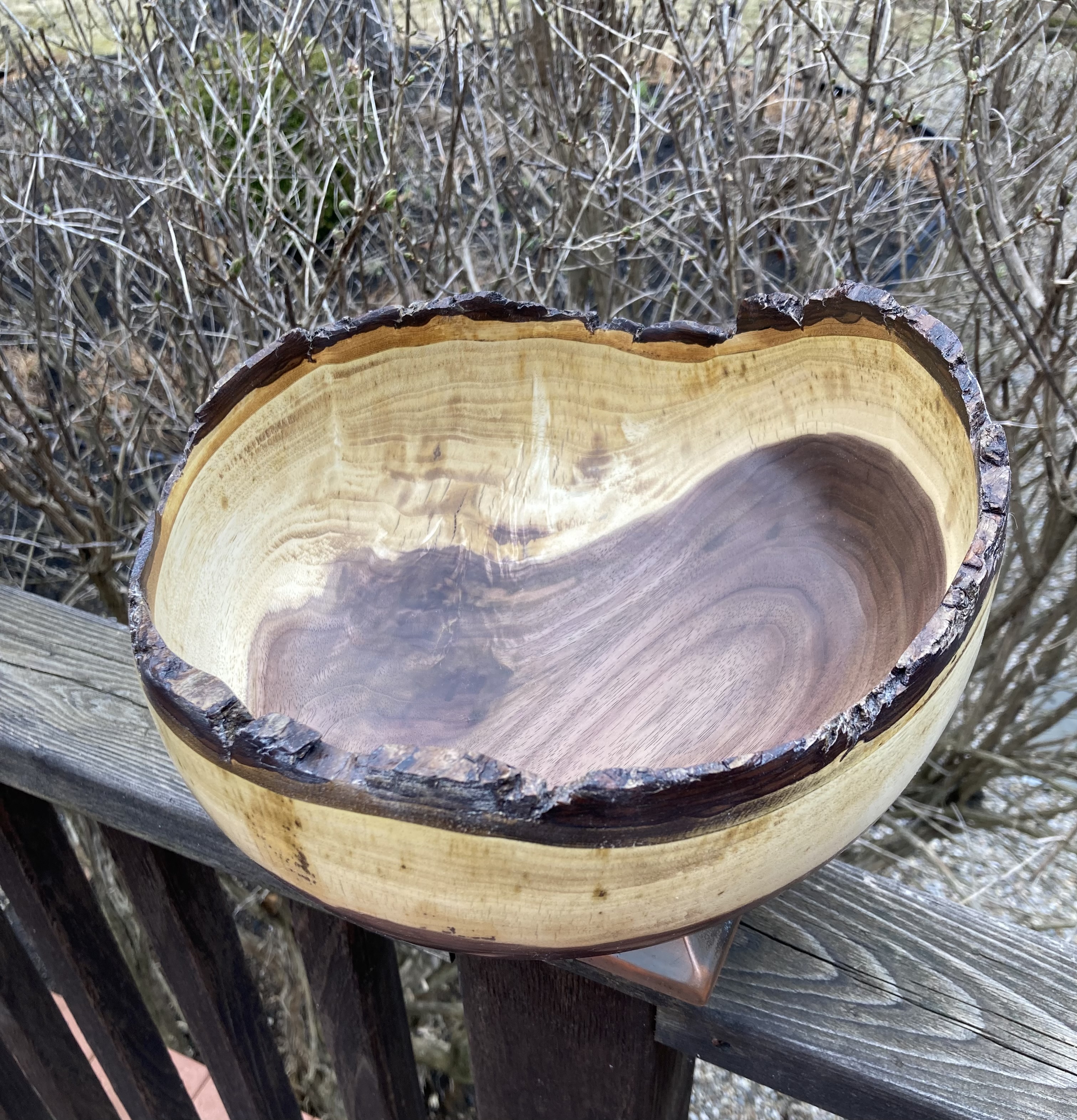 Large Bark Edge Crotch Walnut Bowl Approx 10" Diameter X 5" Tall