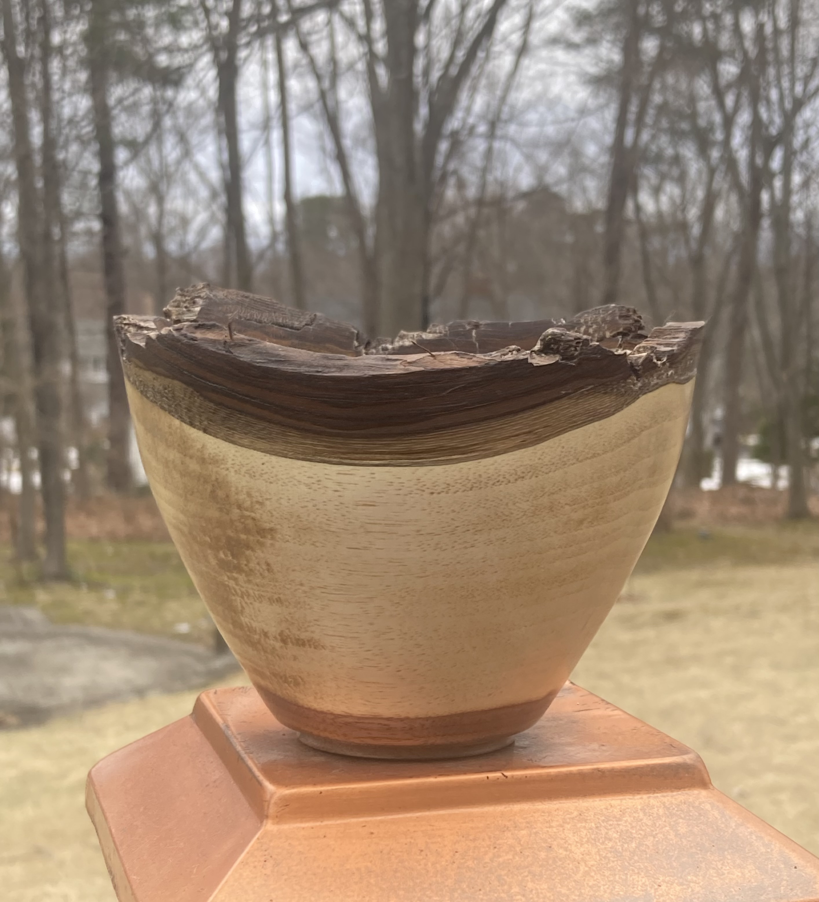 Small Bark Edge Walnut Bowl Approx 5" Diameter X 3 3/4" Tall