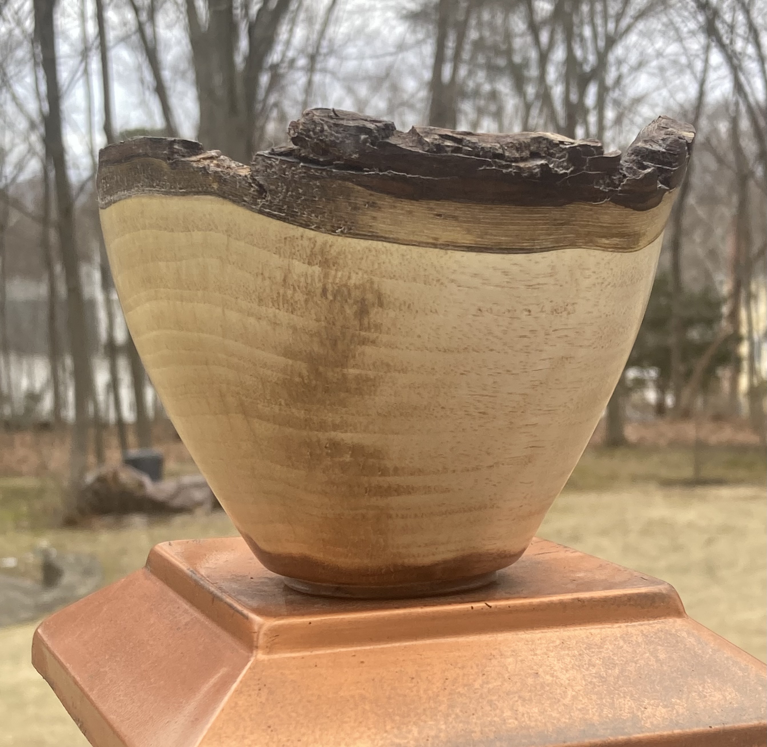 Small Bark Edge Walnut Bowl Approx 5" Diameter X 3 3/4" Tall