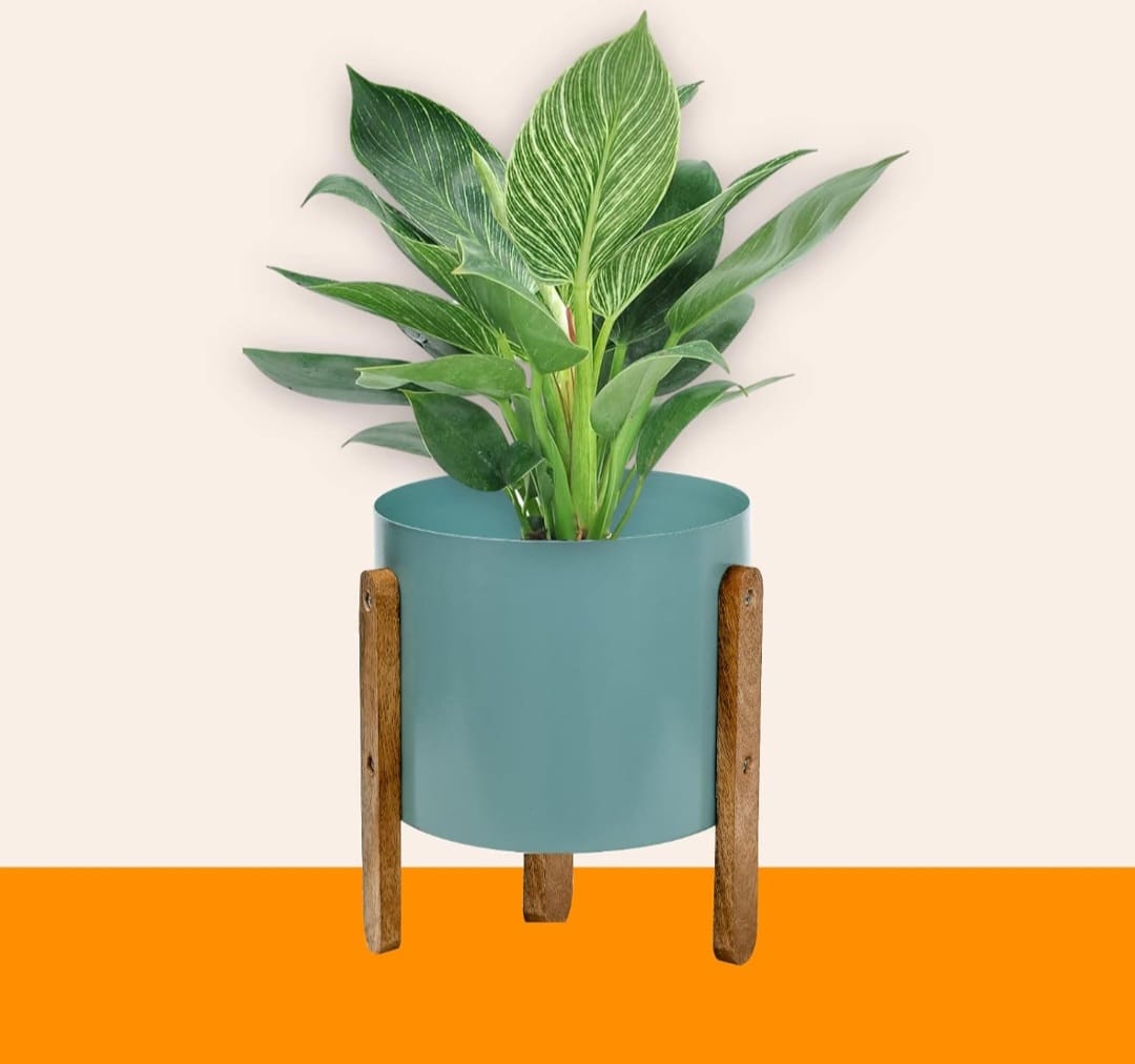 Metal planter with wooden stand