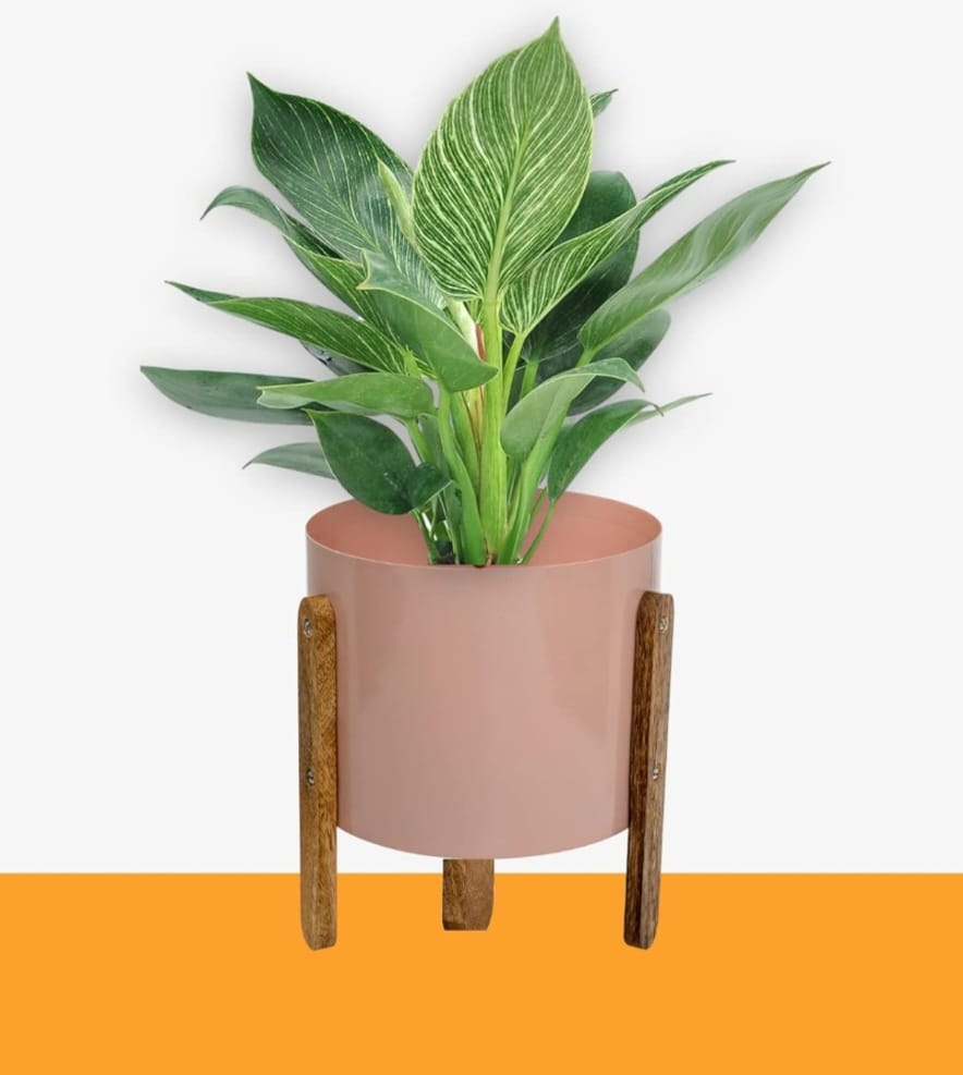 Metal planter with wooden stand